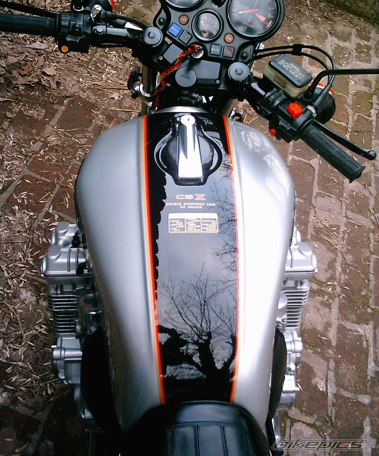 Photo 2622194