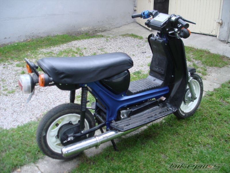 Photo 2622216