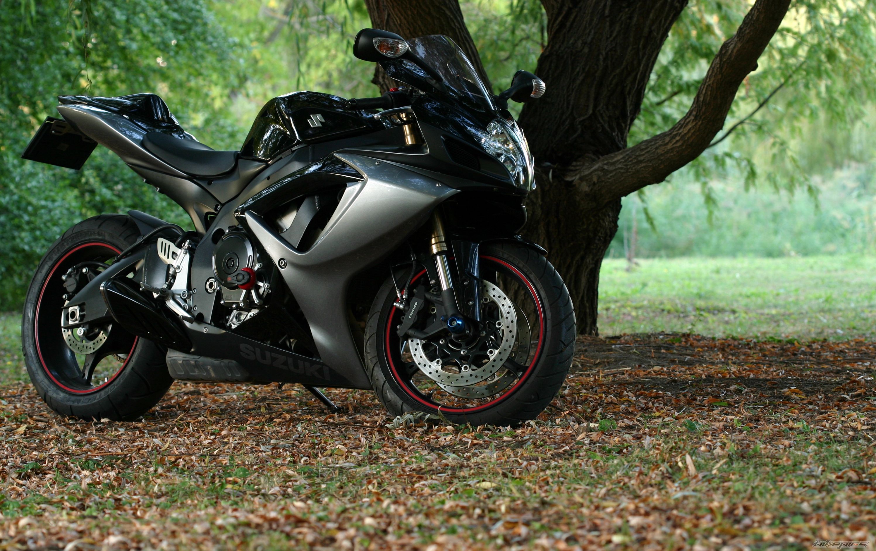 Bike Photo 2622230