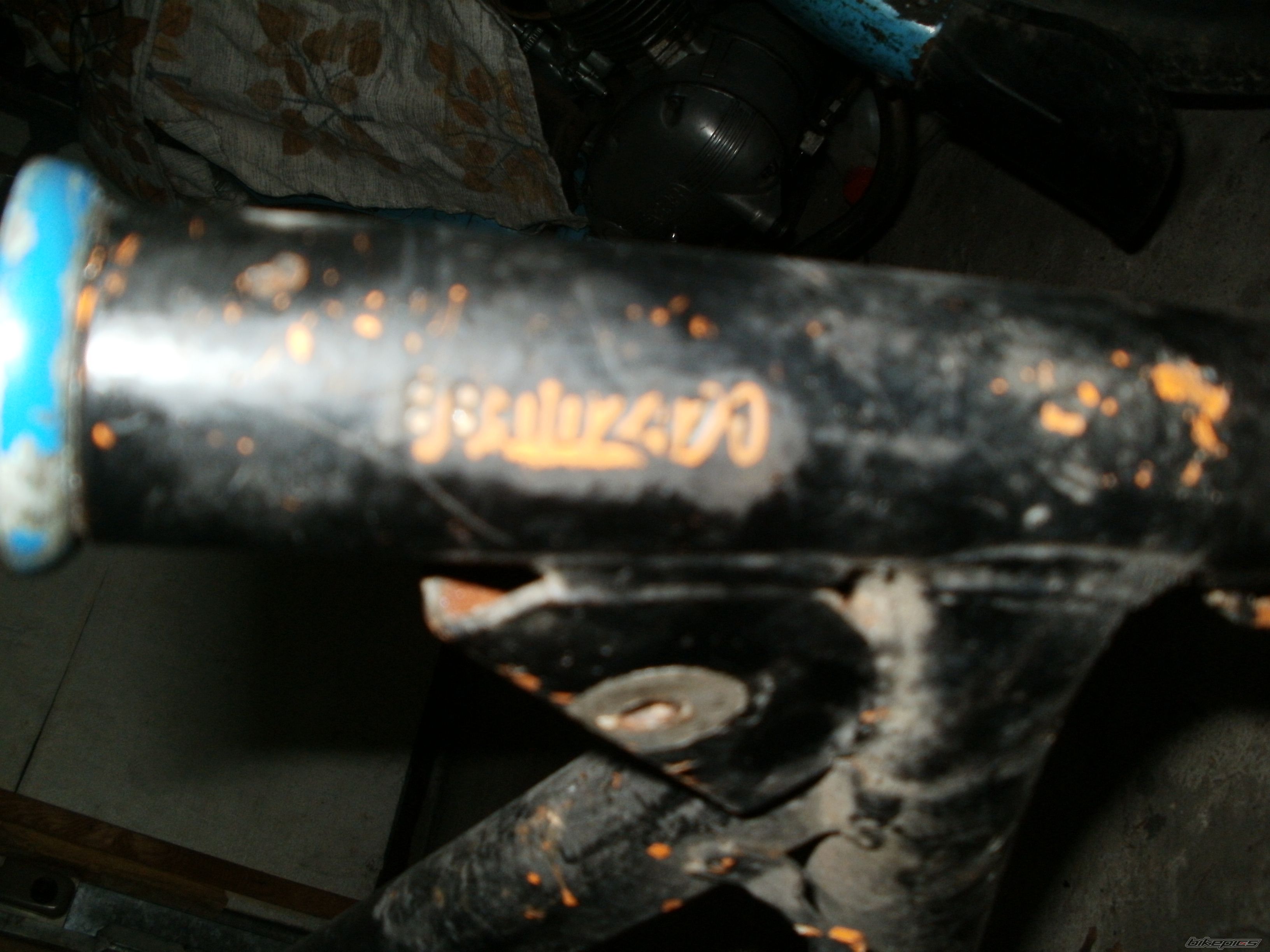 Photo 2622257