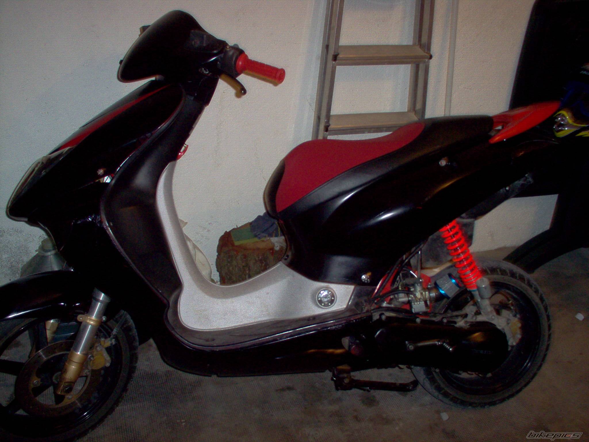 Photo 262235