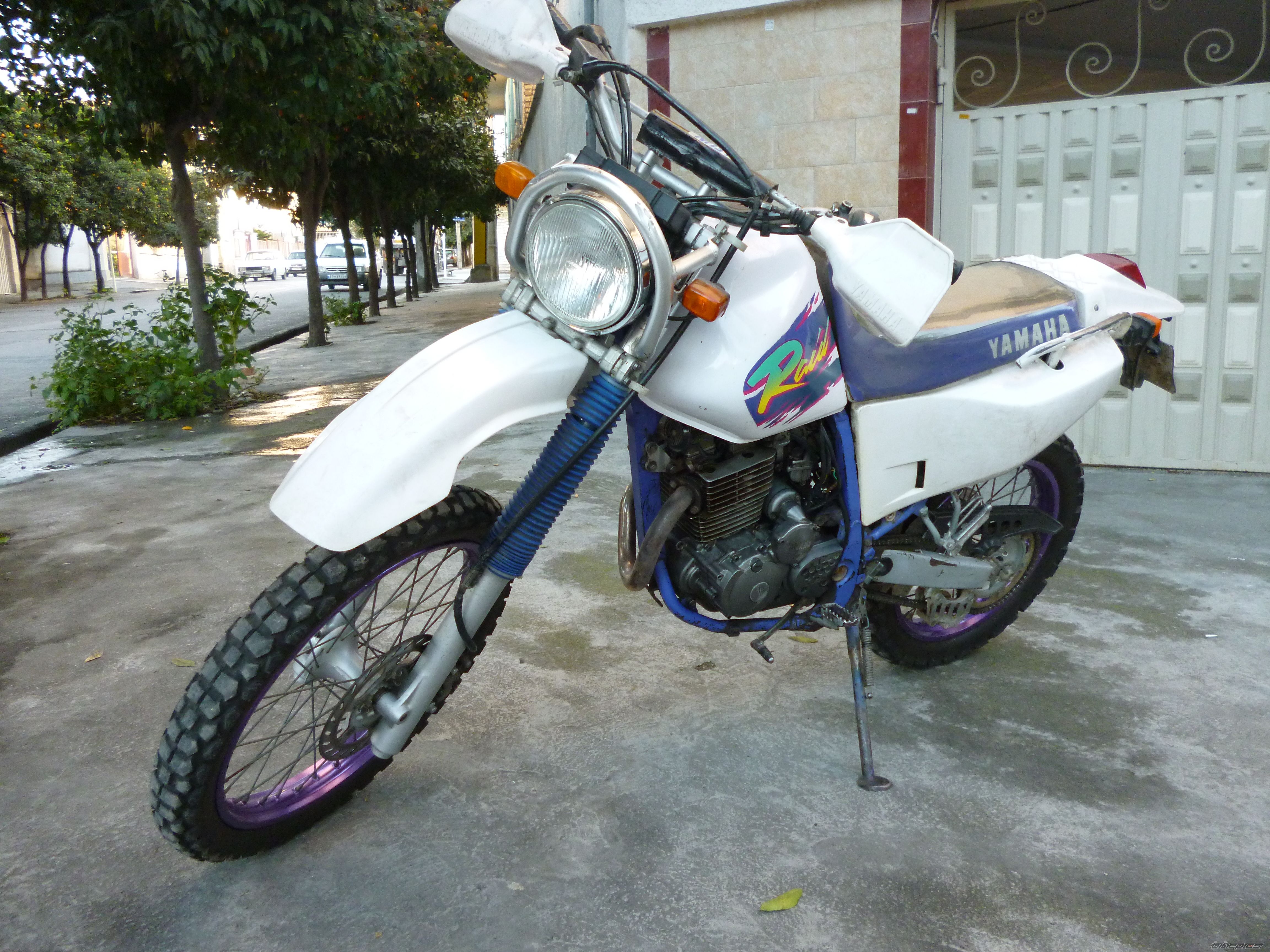 Photo 2622424