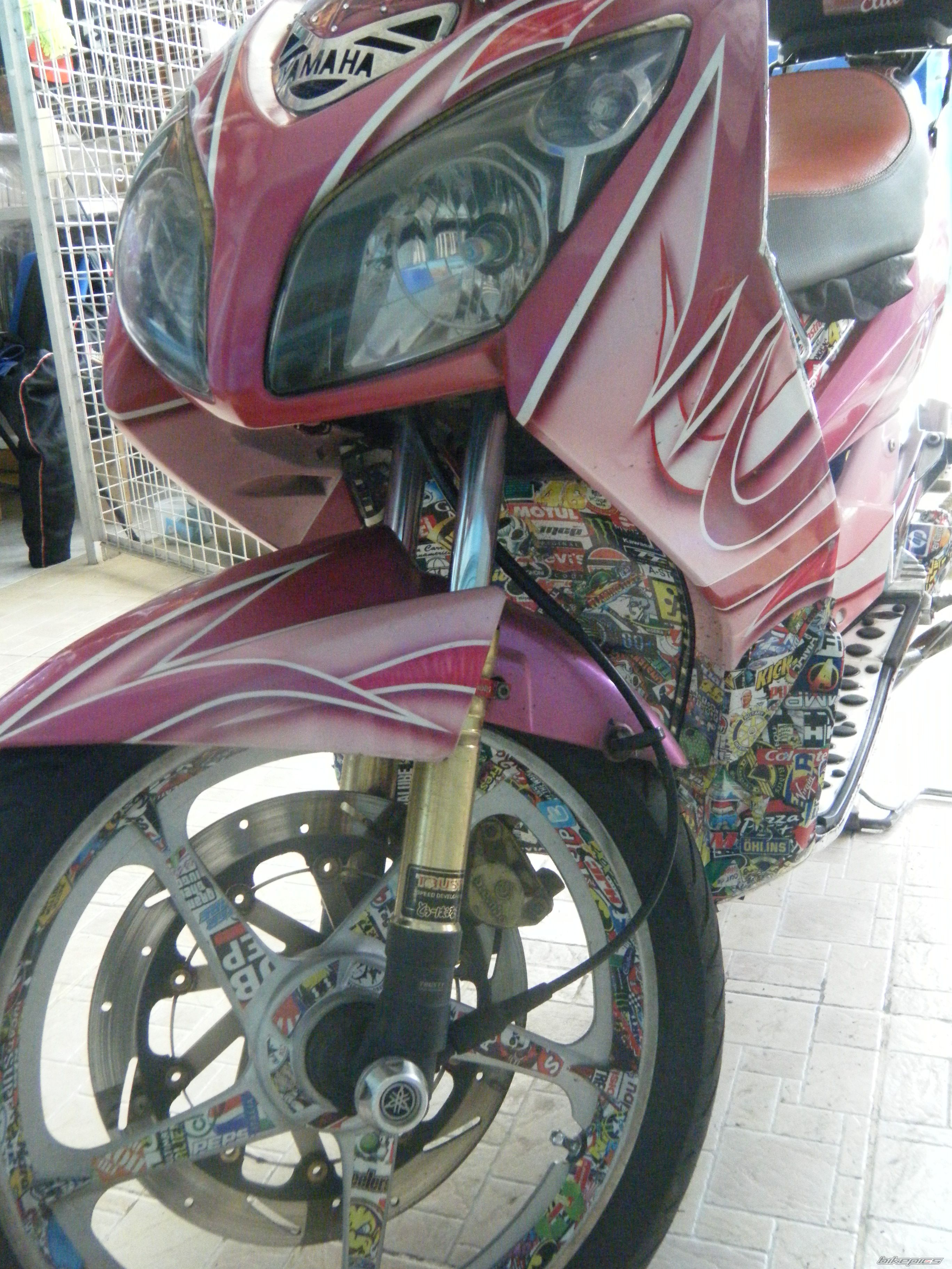 Photo 2622443