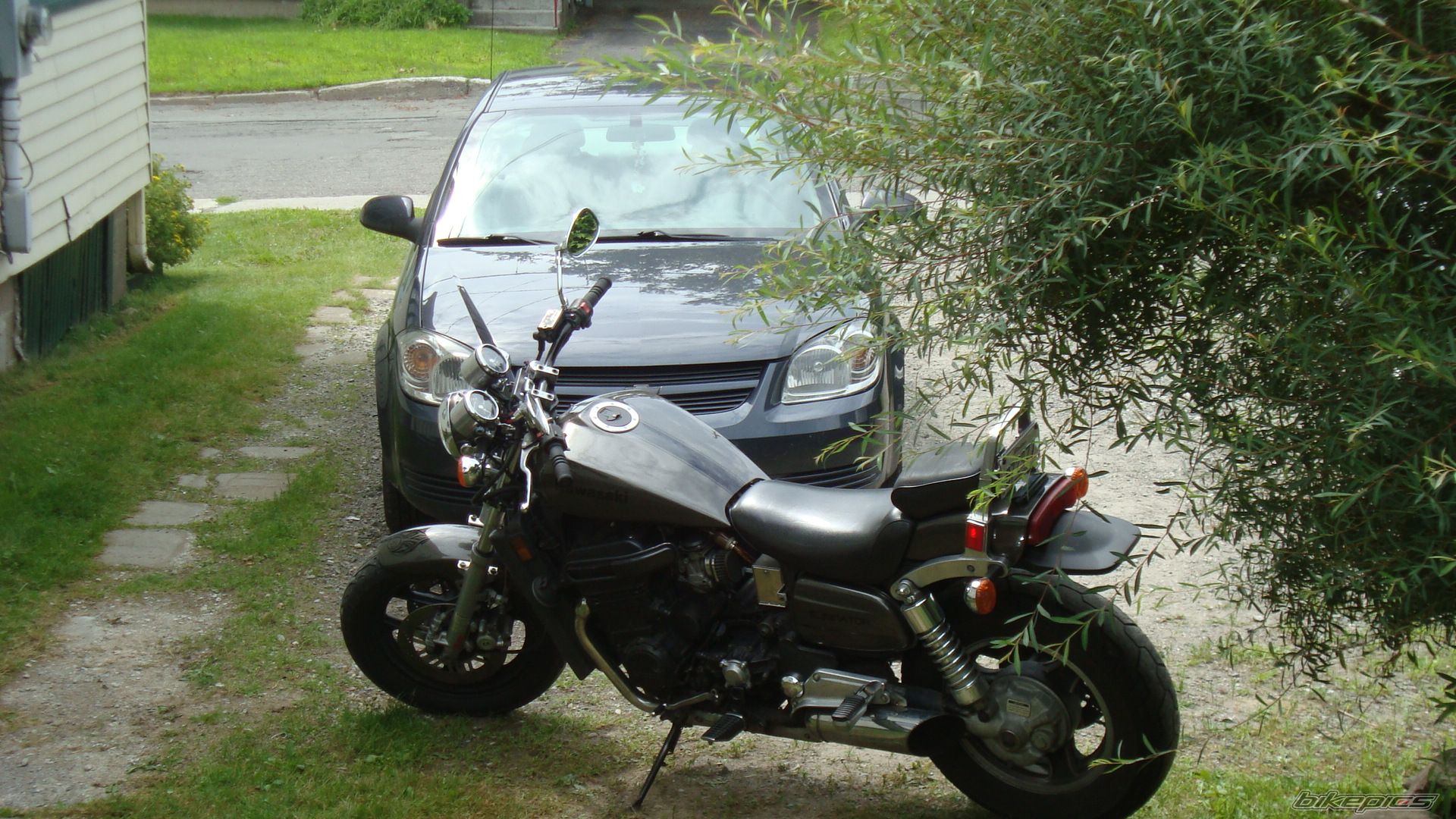 Photo 2622452