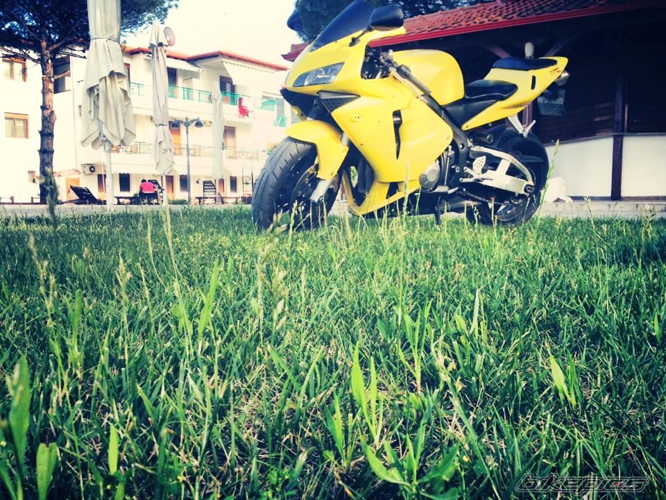 Photo 2622482