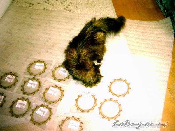Photo 262284