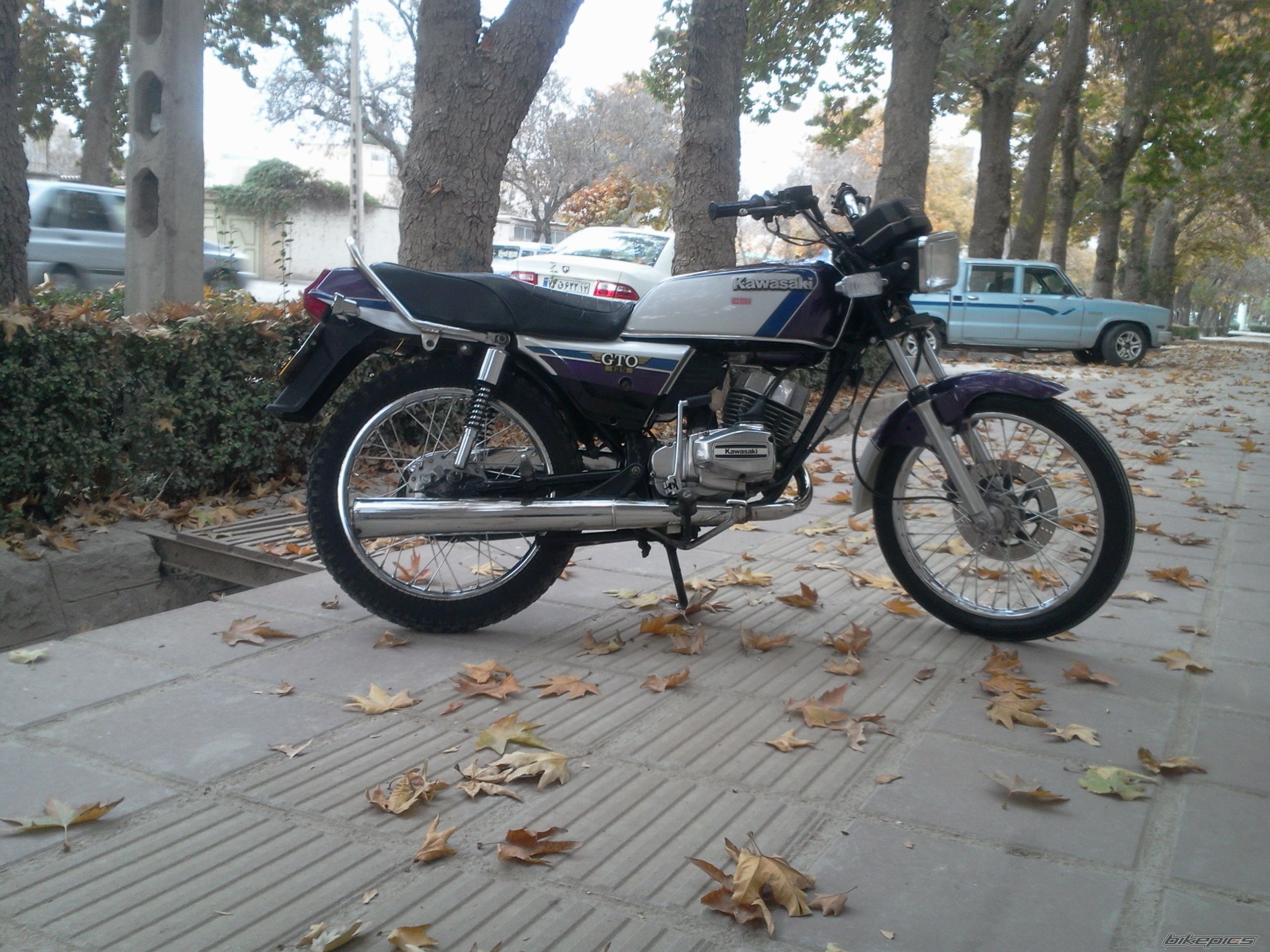 Photo 2622842