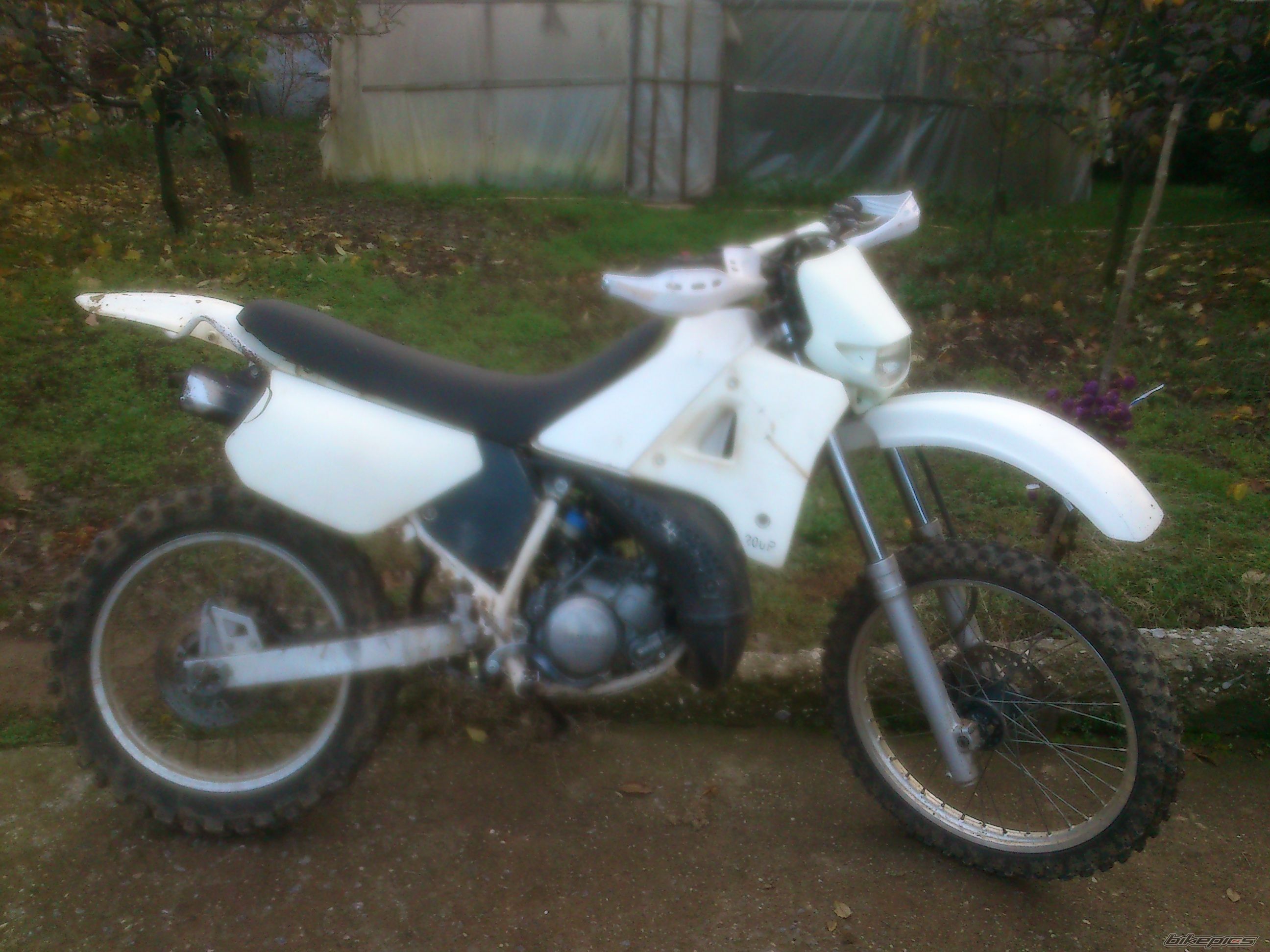 Photo 2622889