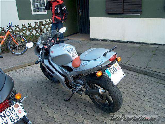 Photo 26229