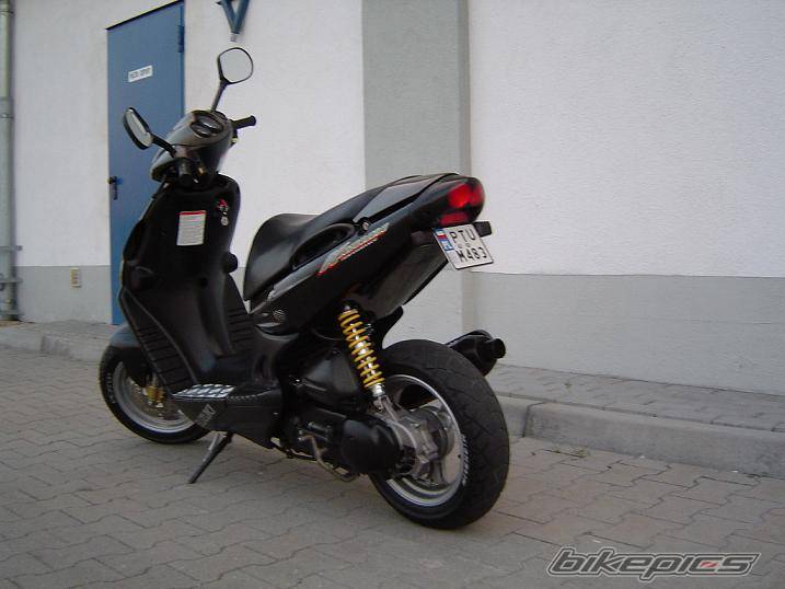 Photo 262290