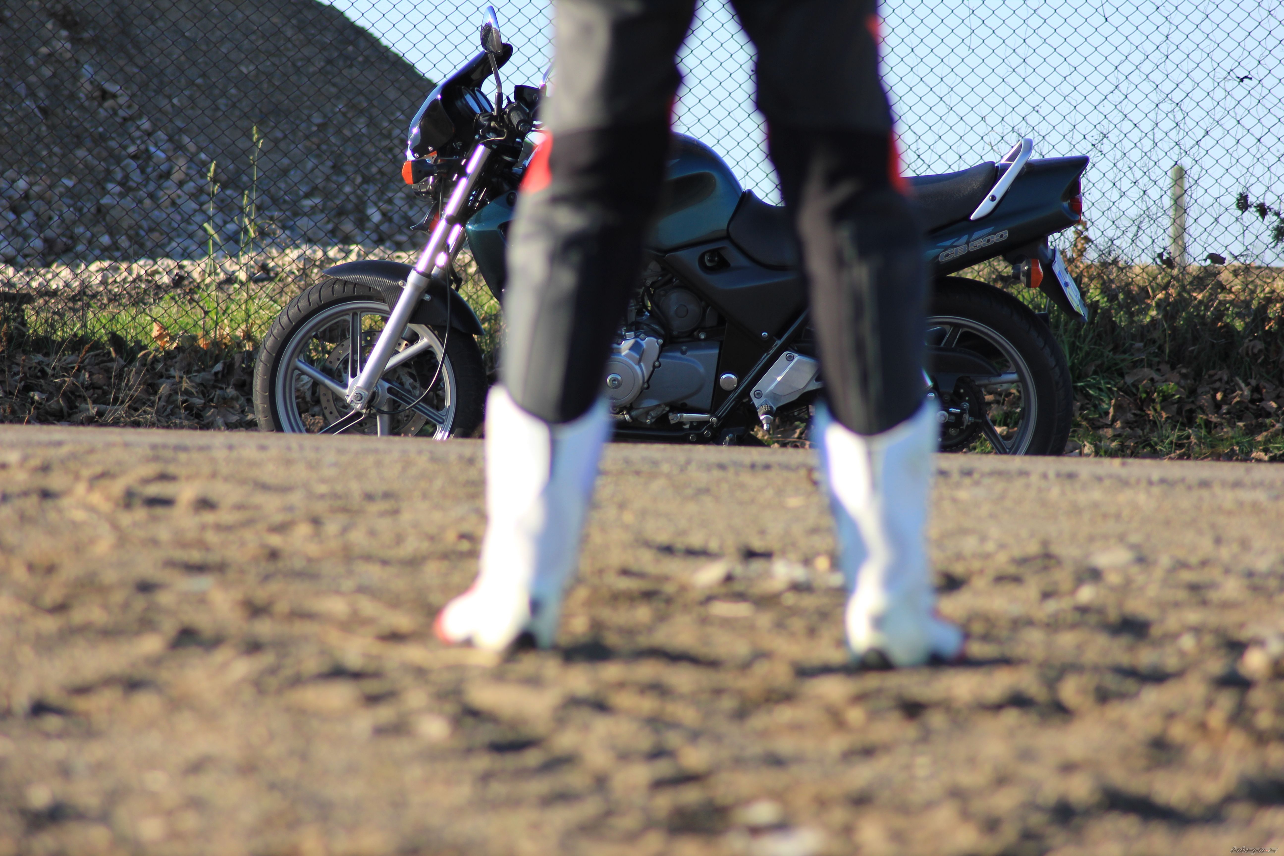 Photo 2622939