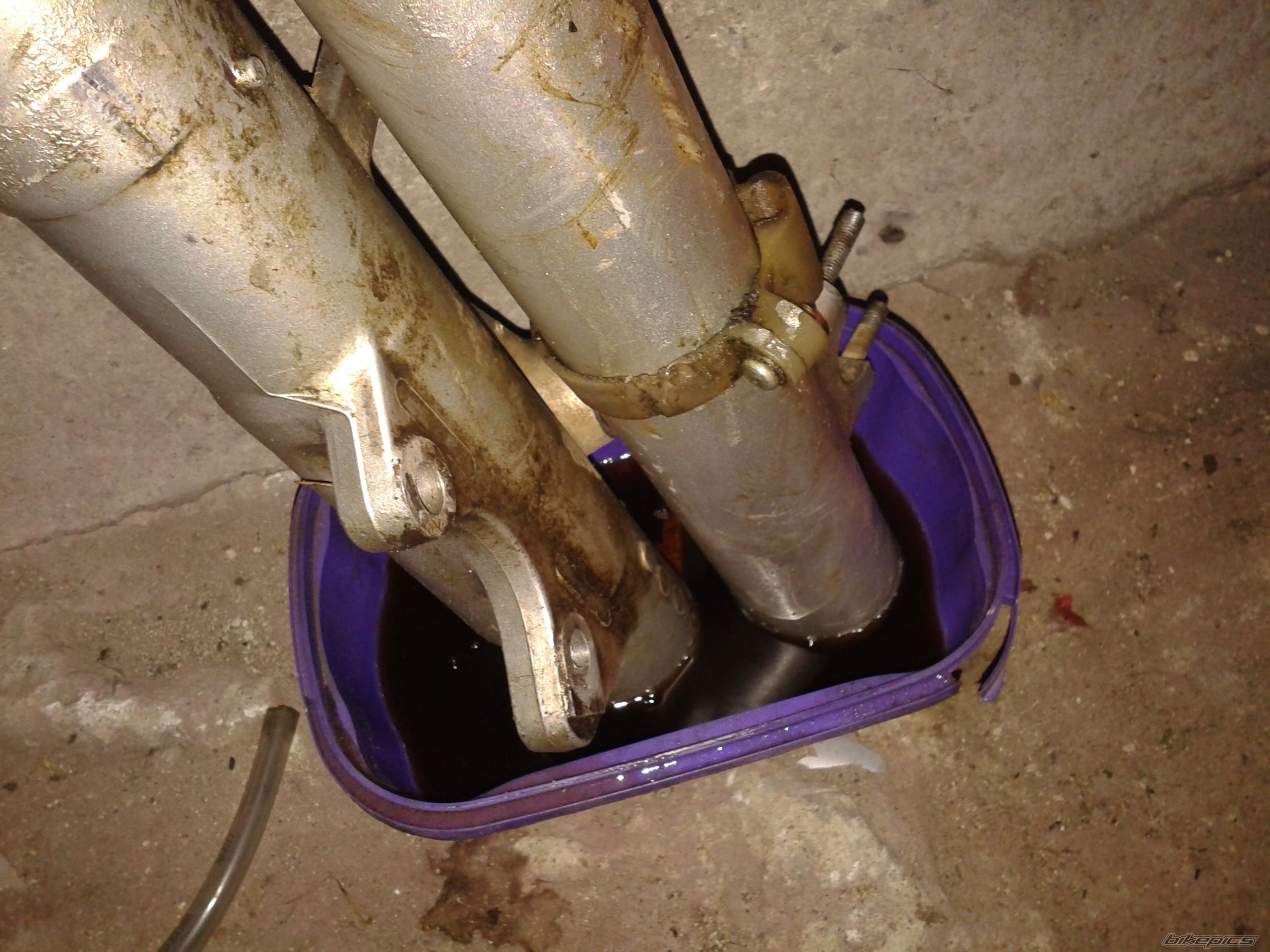 Photo 2622959