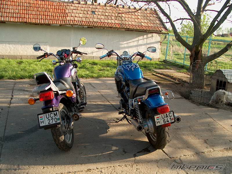 Photo 262300