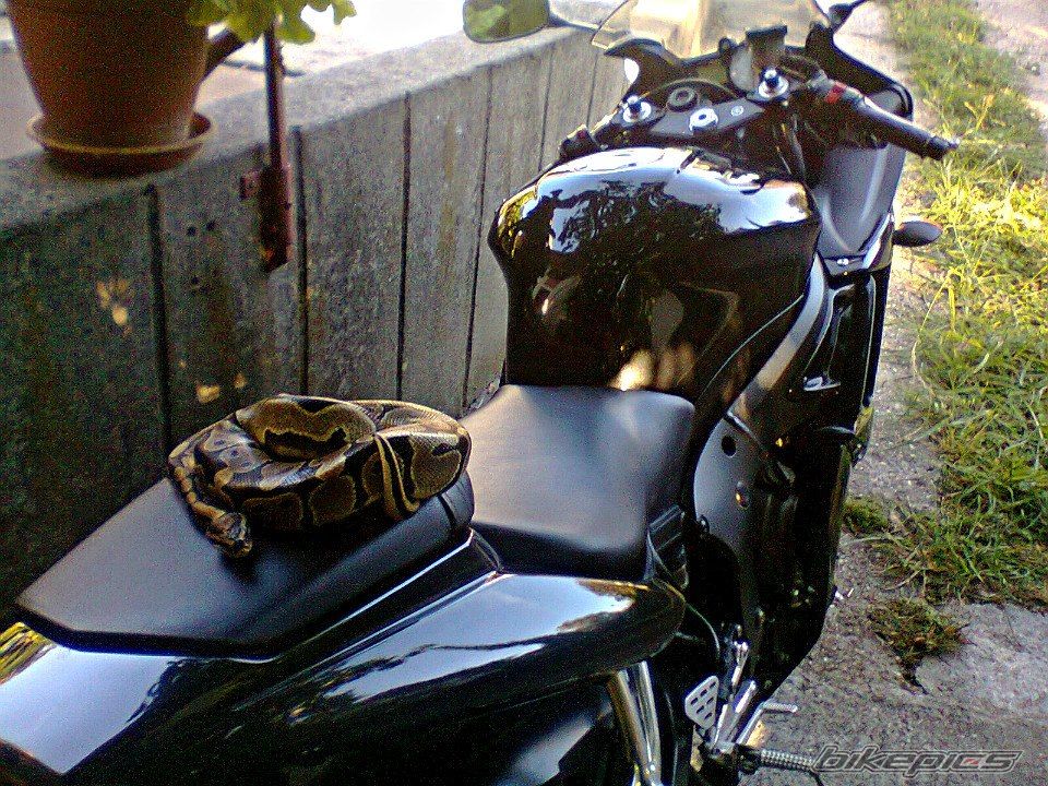 Bike Photo 2623017