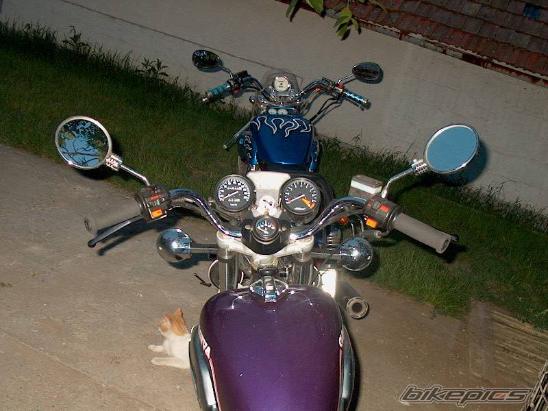 Photo 262305
