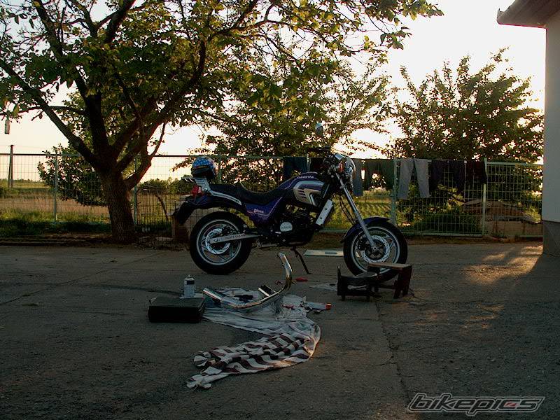Photo 262309
