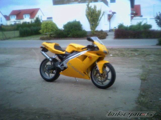 Photo 262314