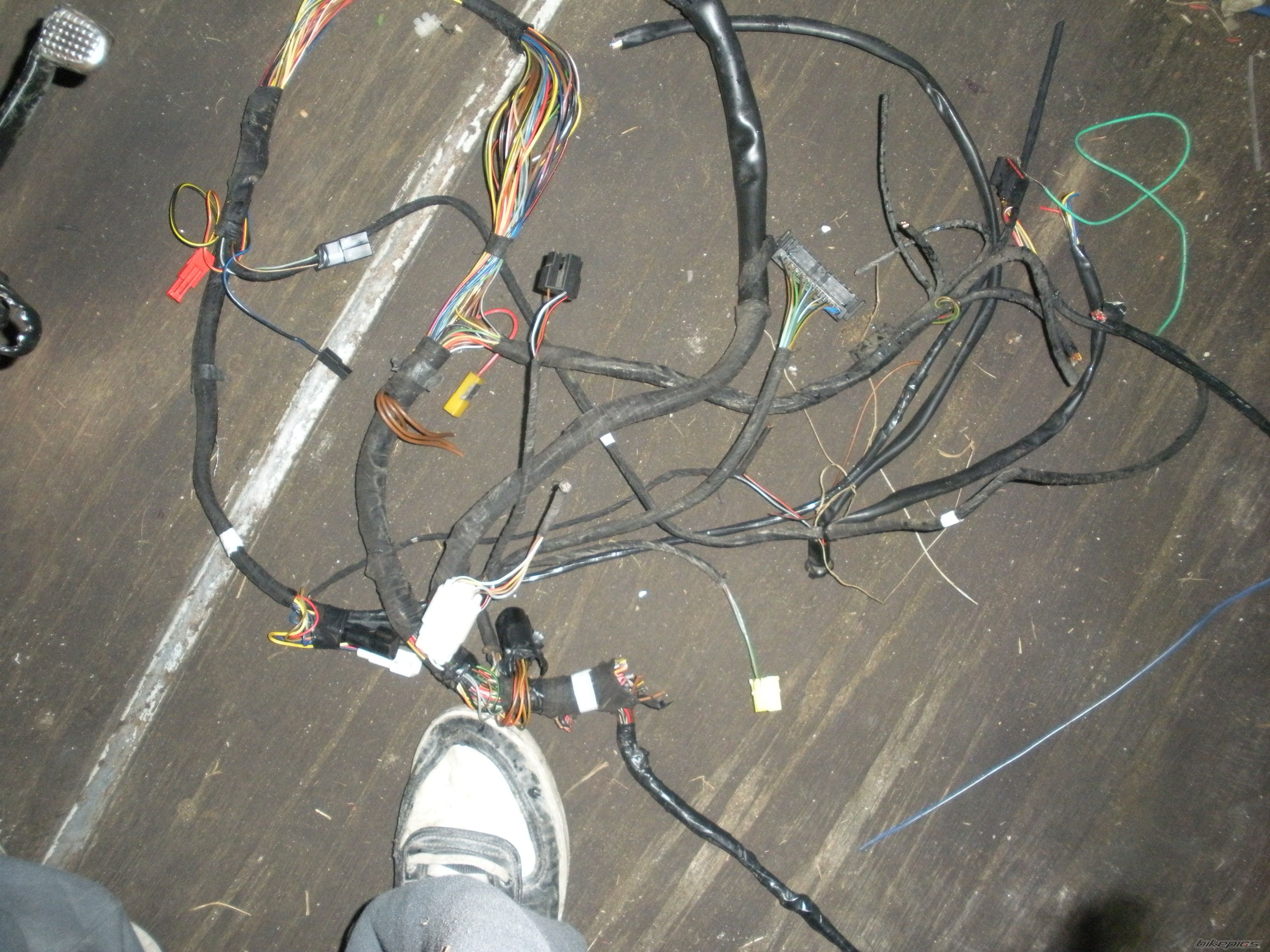 Photo 2623189
