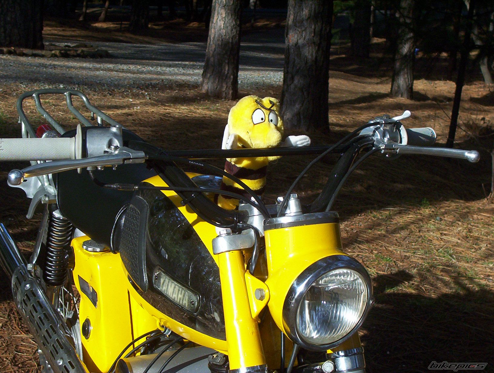 Photo 2623229