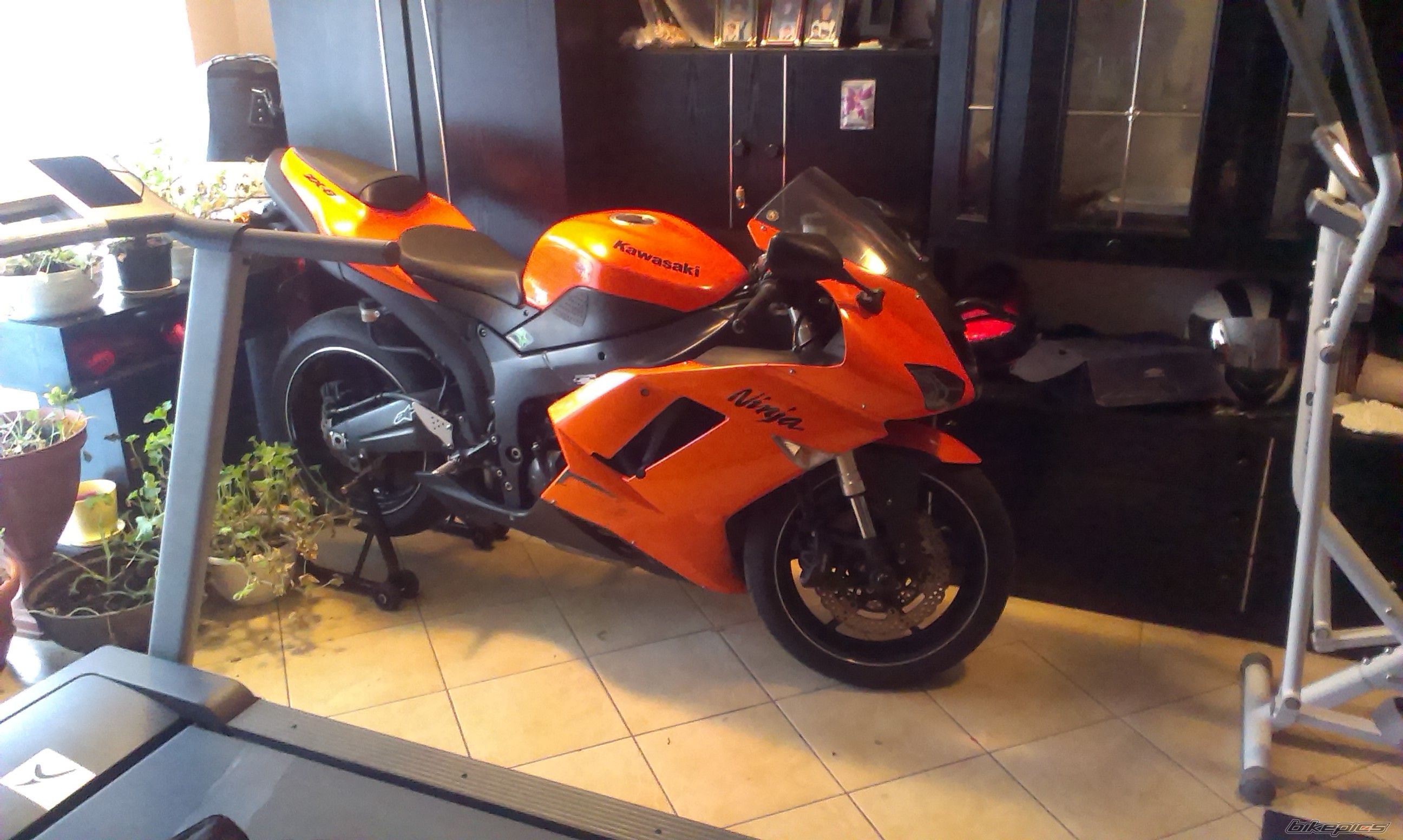 Photo 2623239