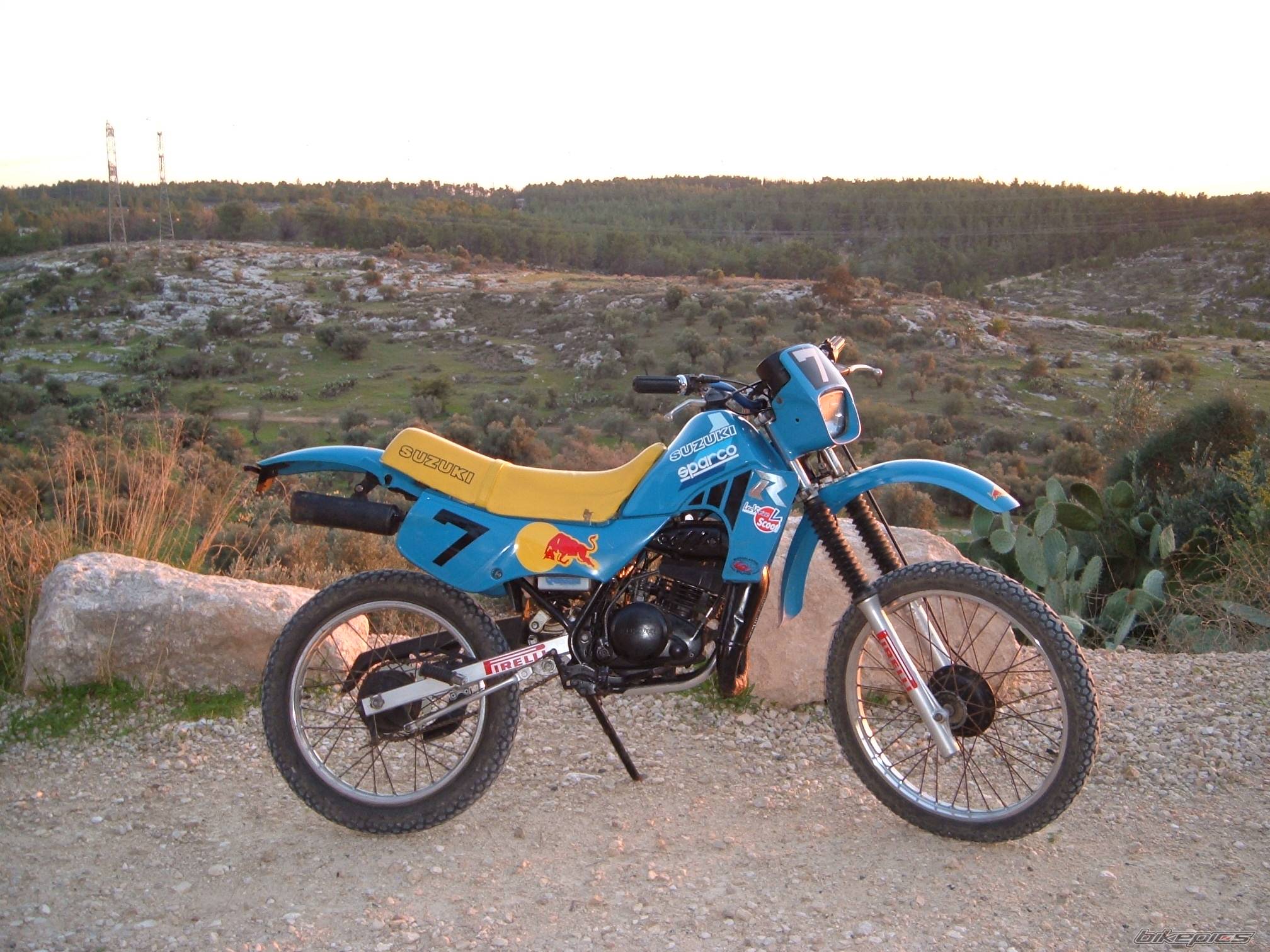 Photo 262330