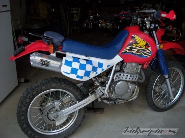 Photo 2623302