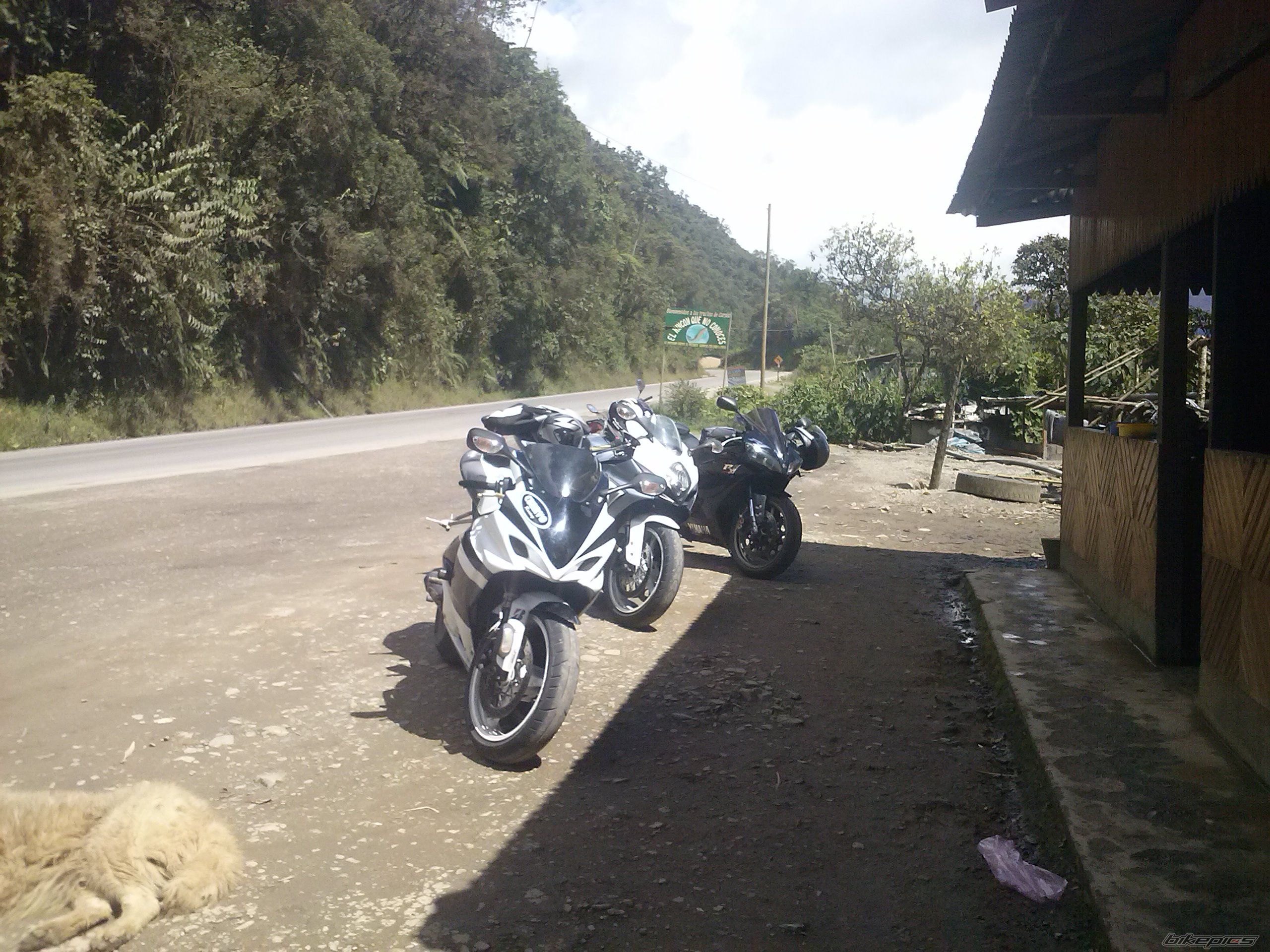 Bike Photo 2623321