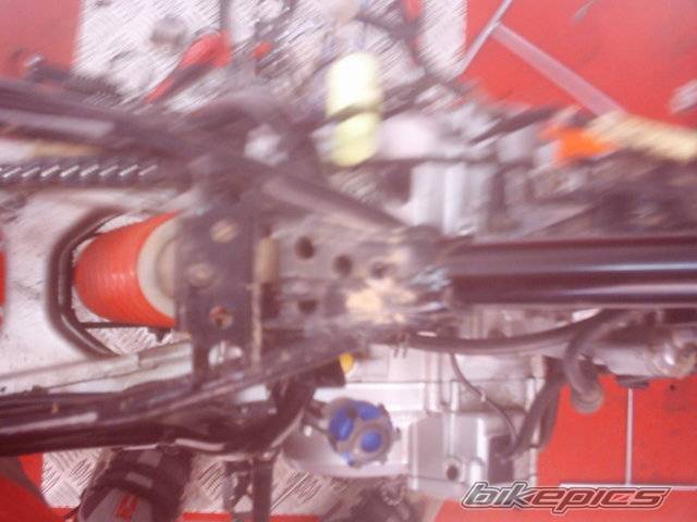 Bike Photo 262356