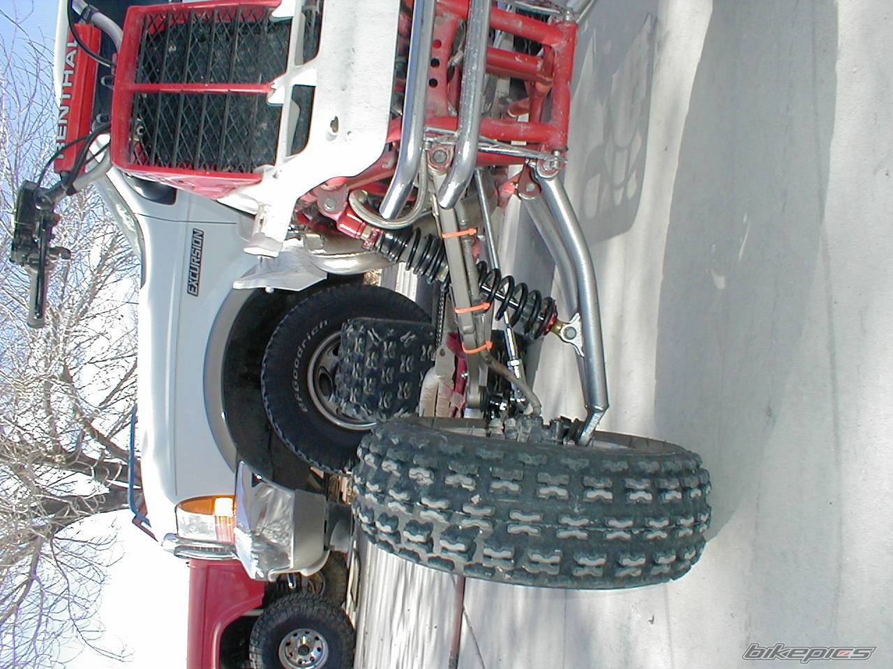 Photo 262361