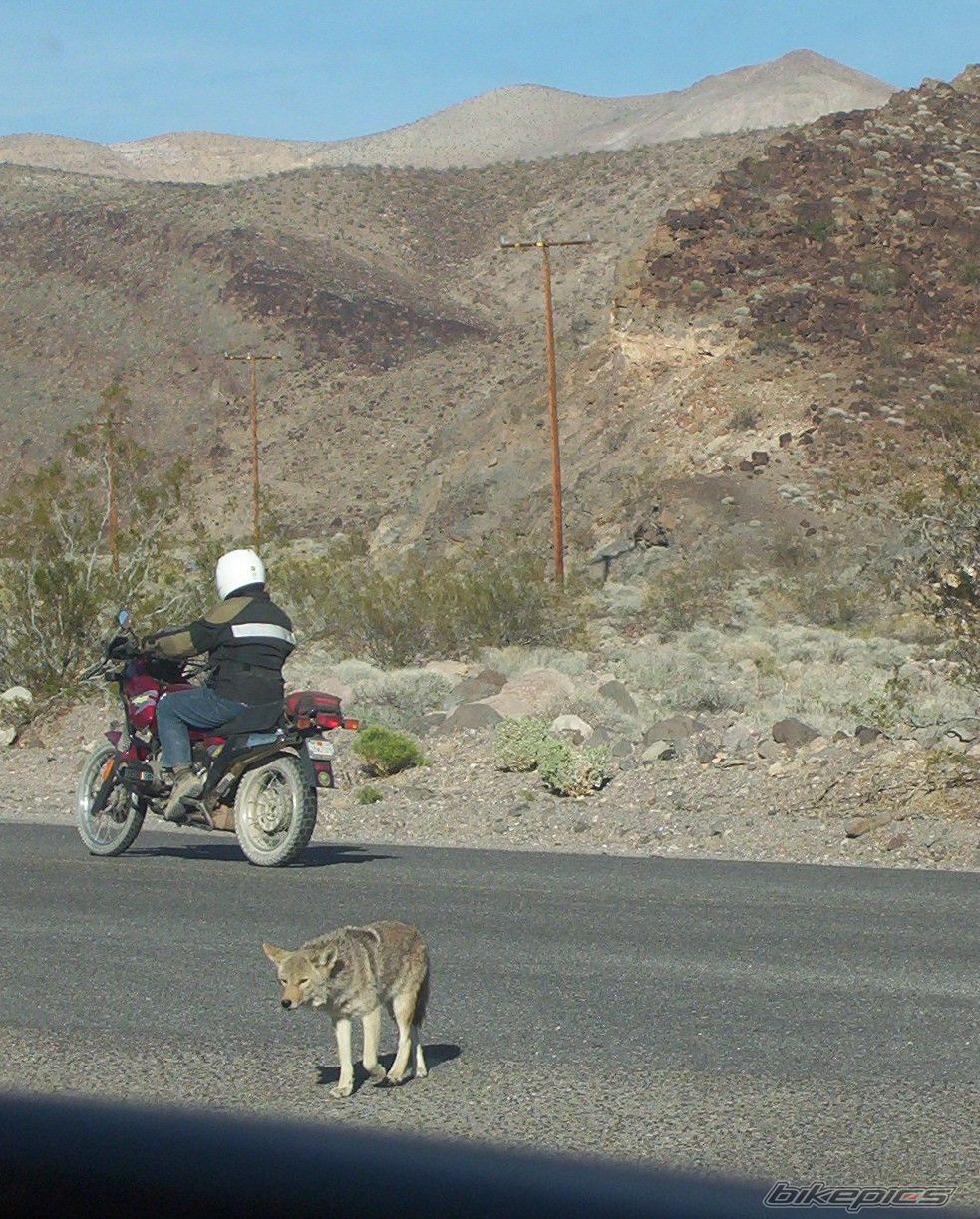 Photo 2623617