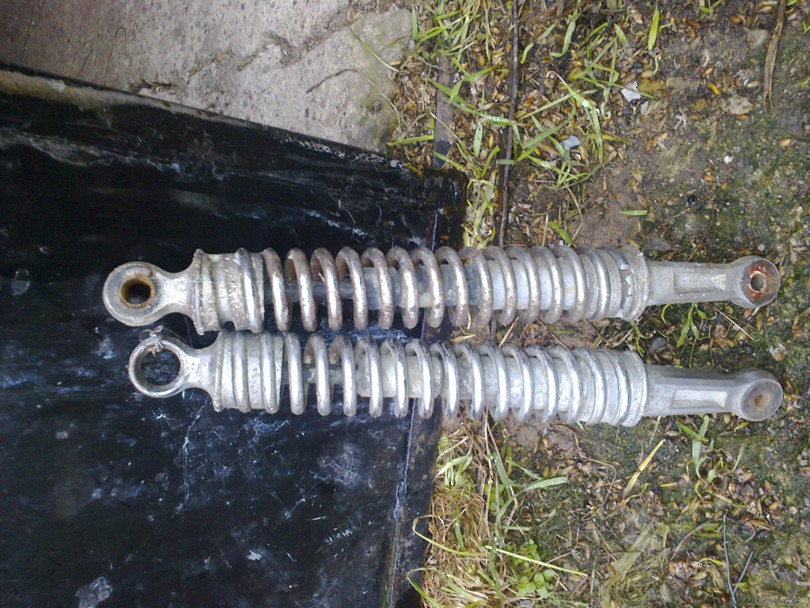 Photo 2623748