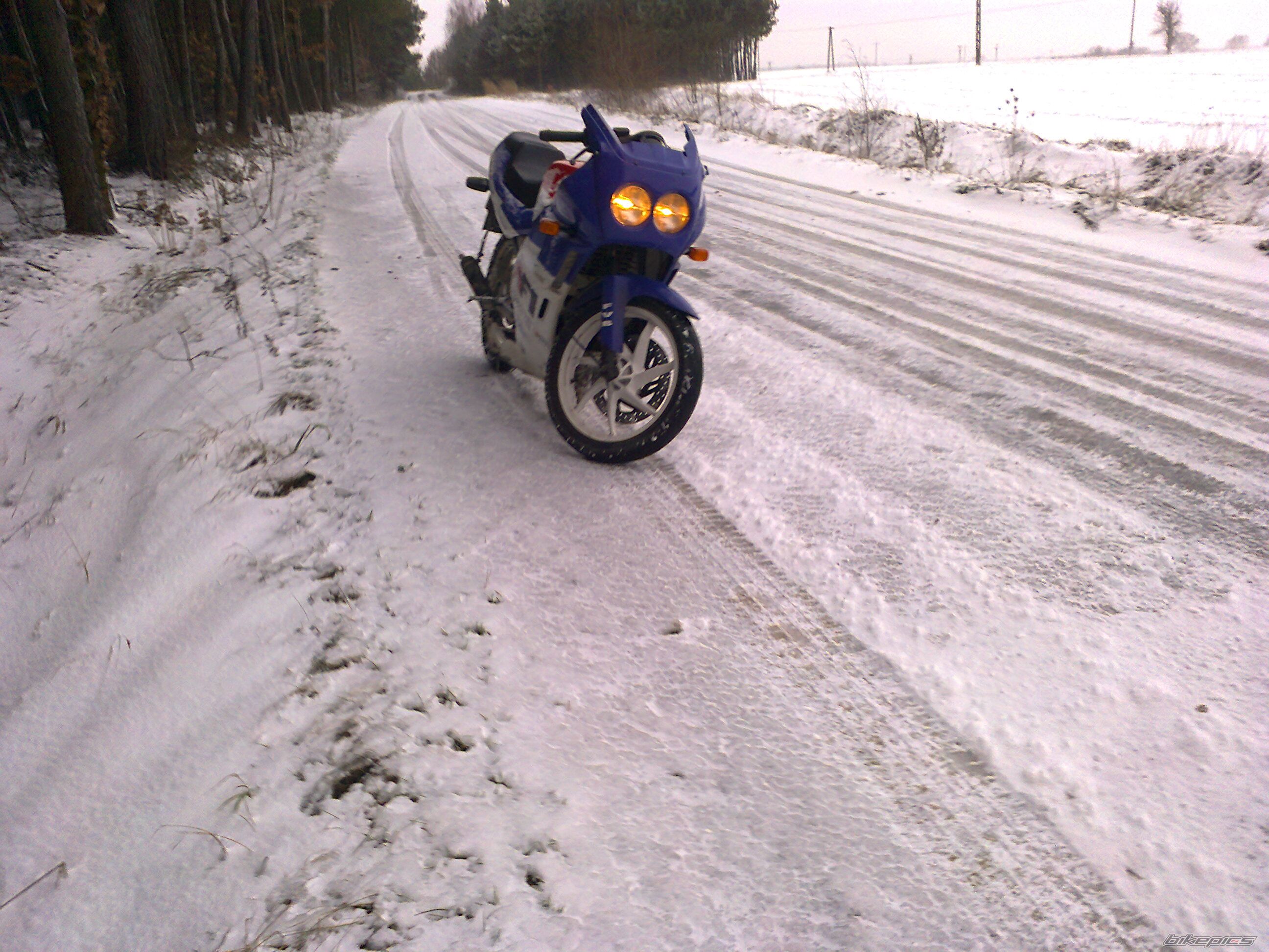 Photo 2623751