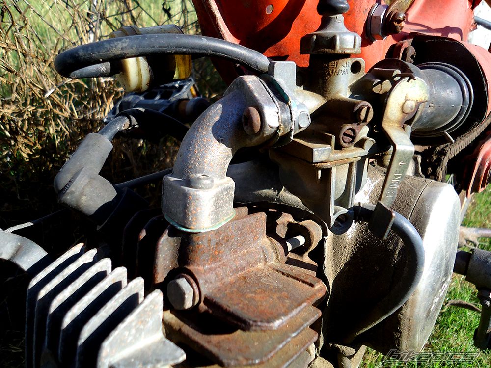 Photo 2623830