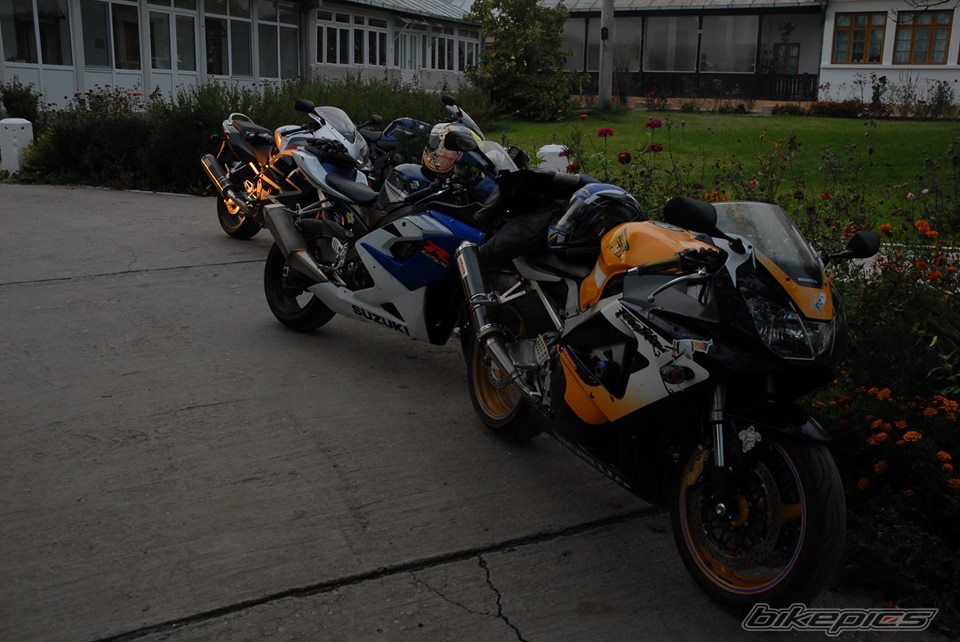 Photo 2623916