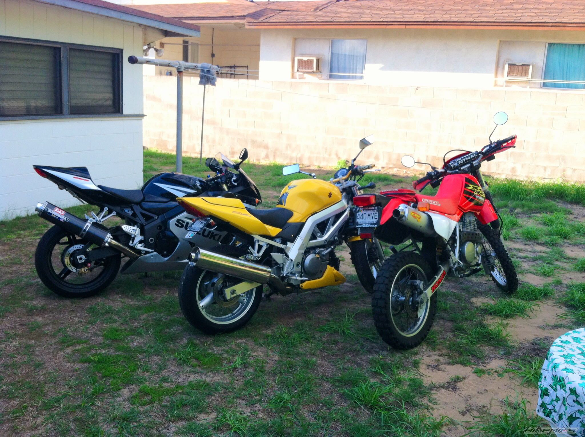 Photo 2623917