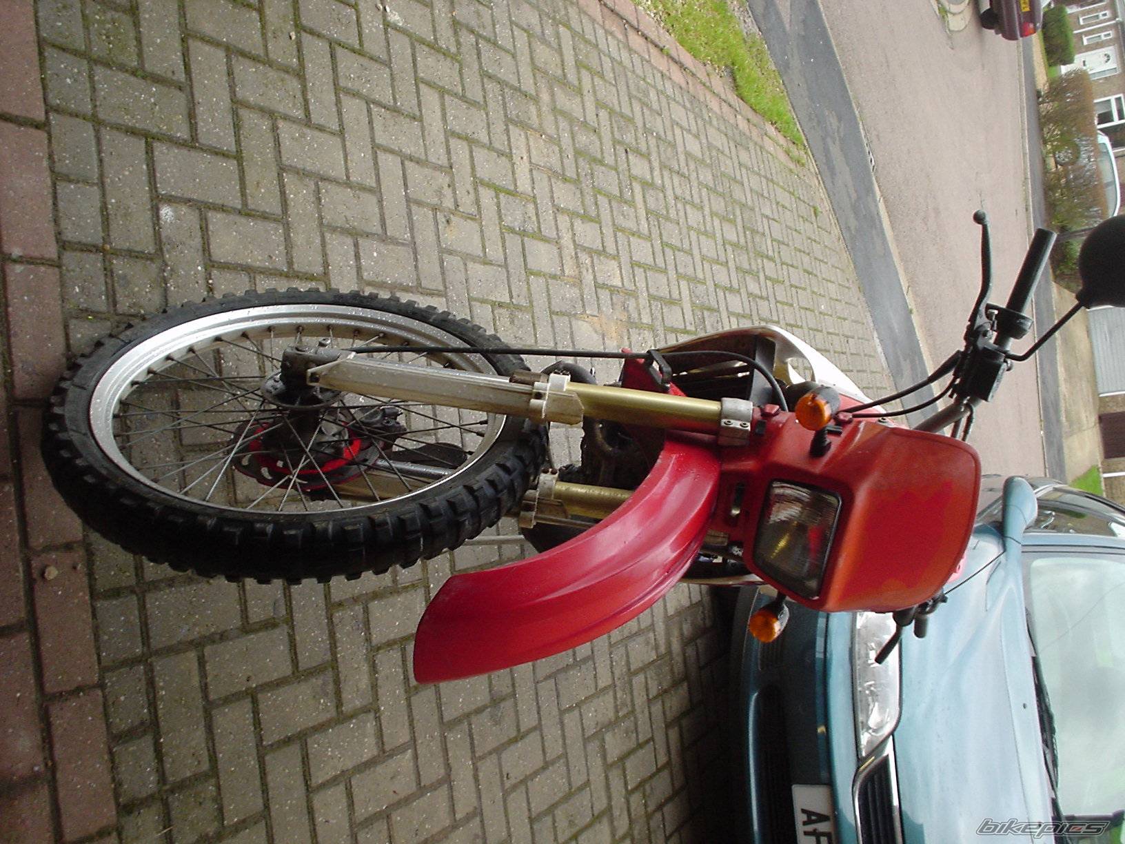 Photo 262392