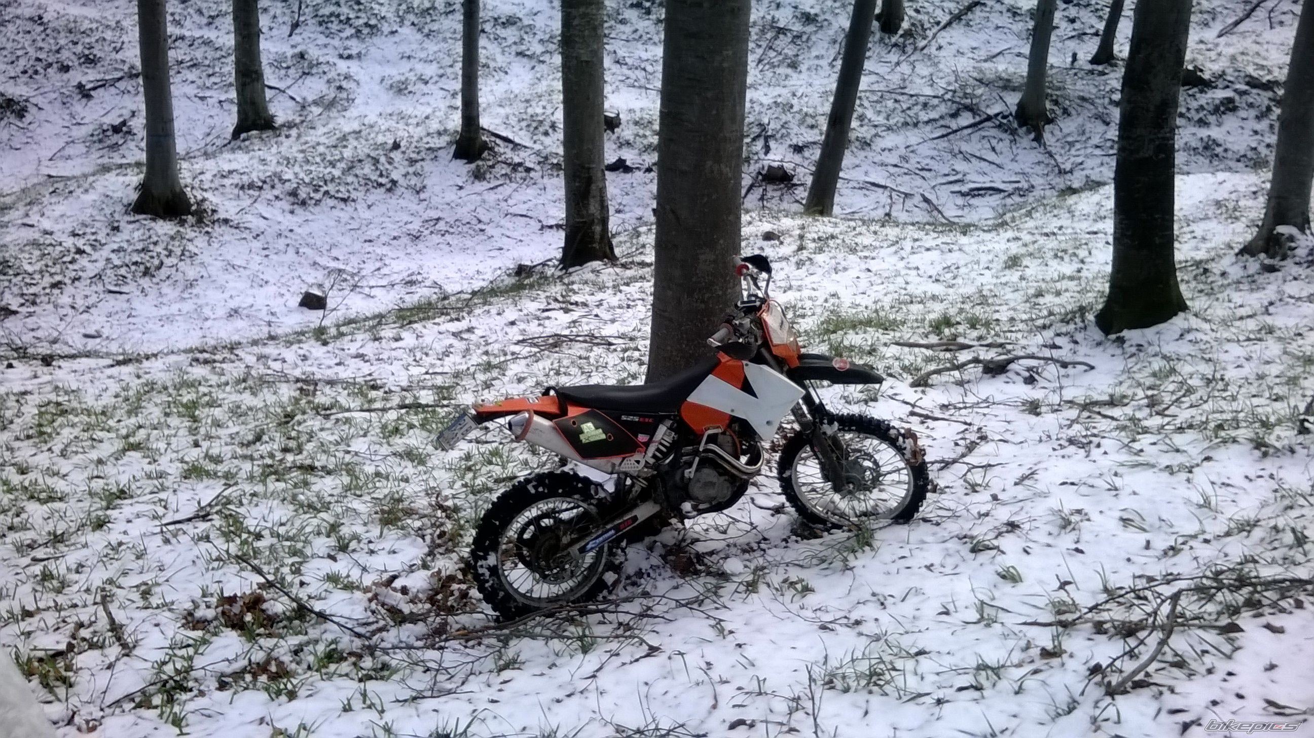 Photo 2623933