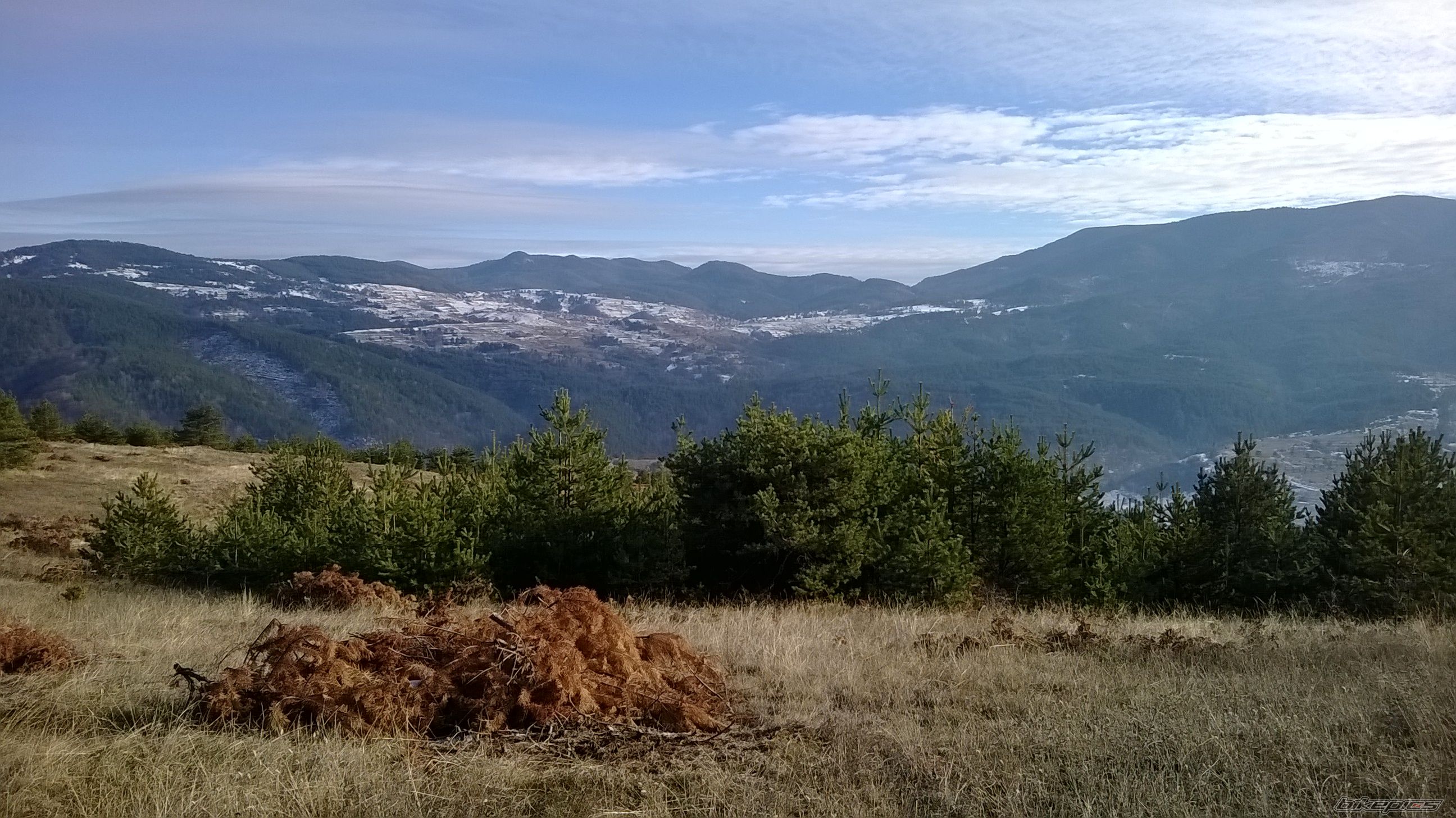 Photo 2623934