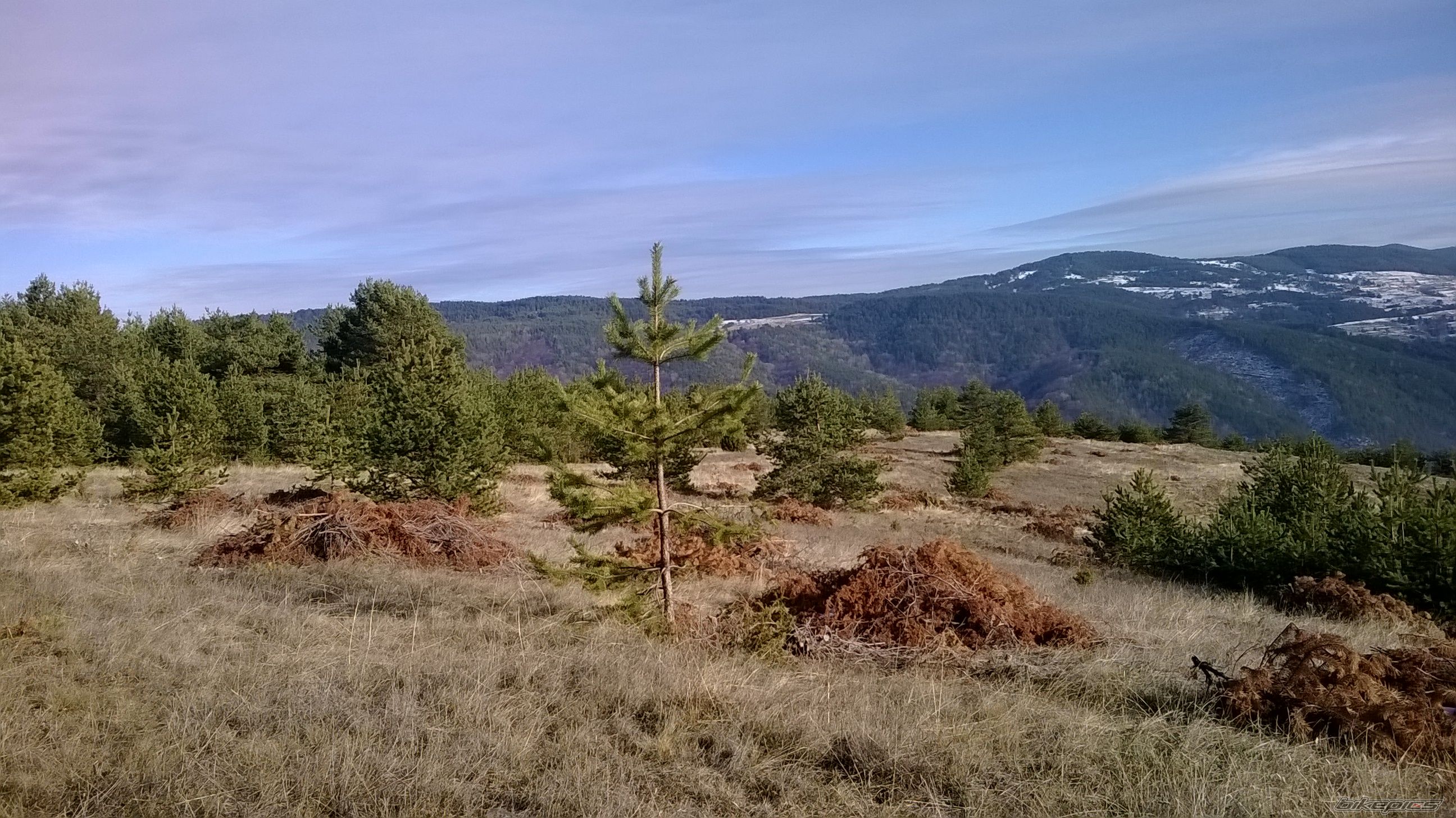Photo 2623936