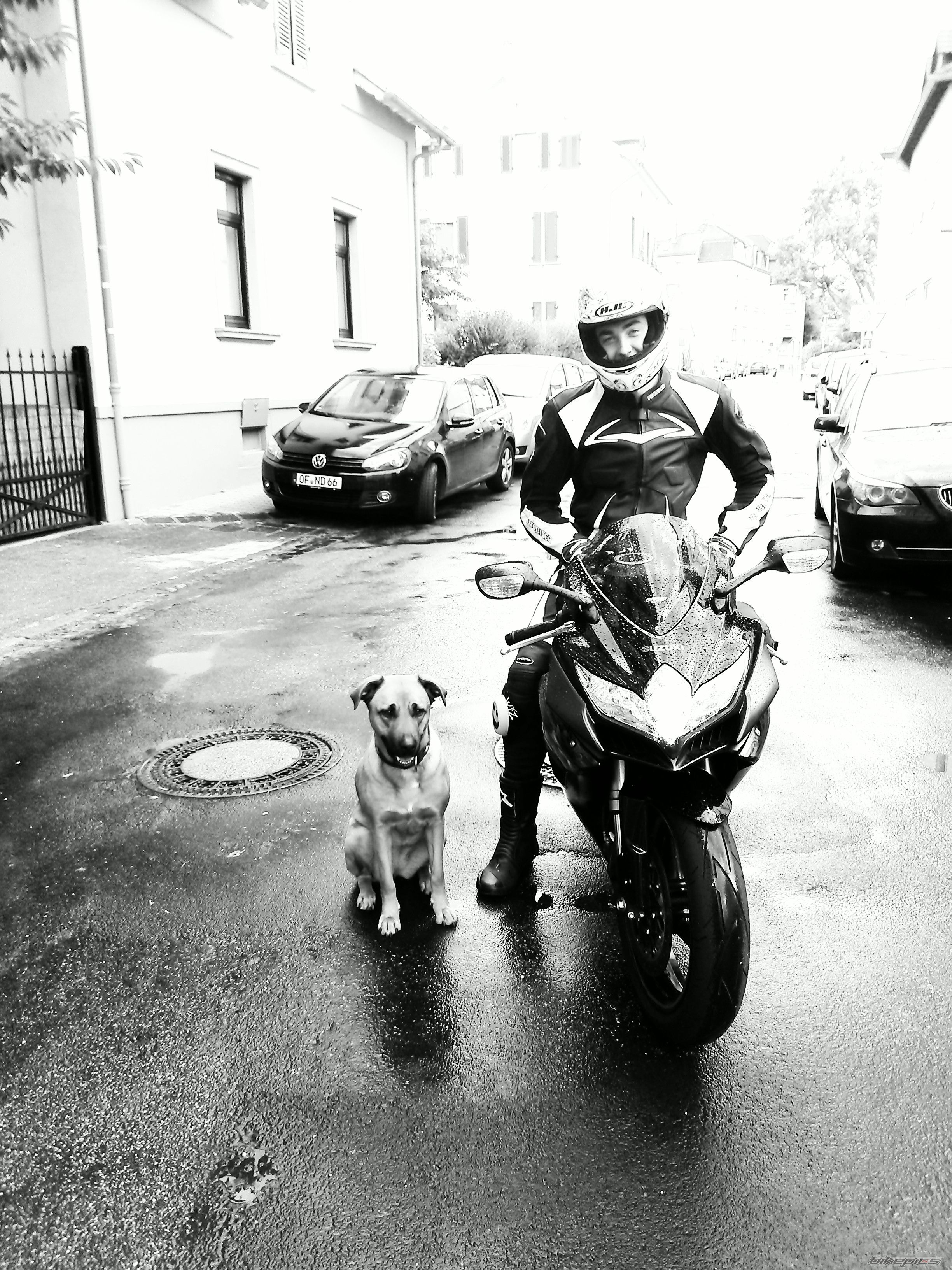 Photo 2623964