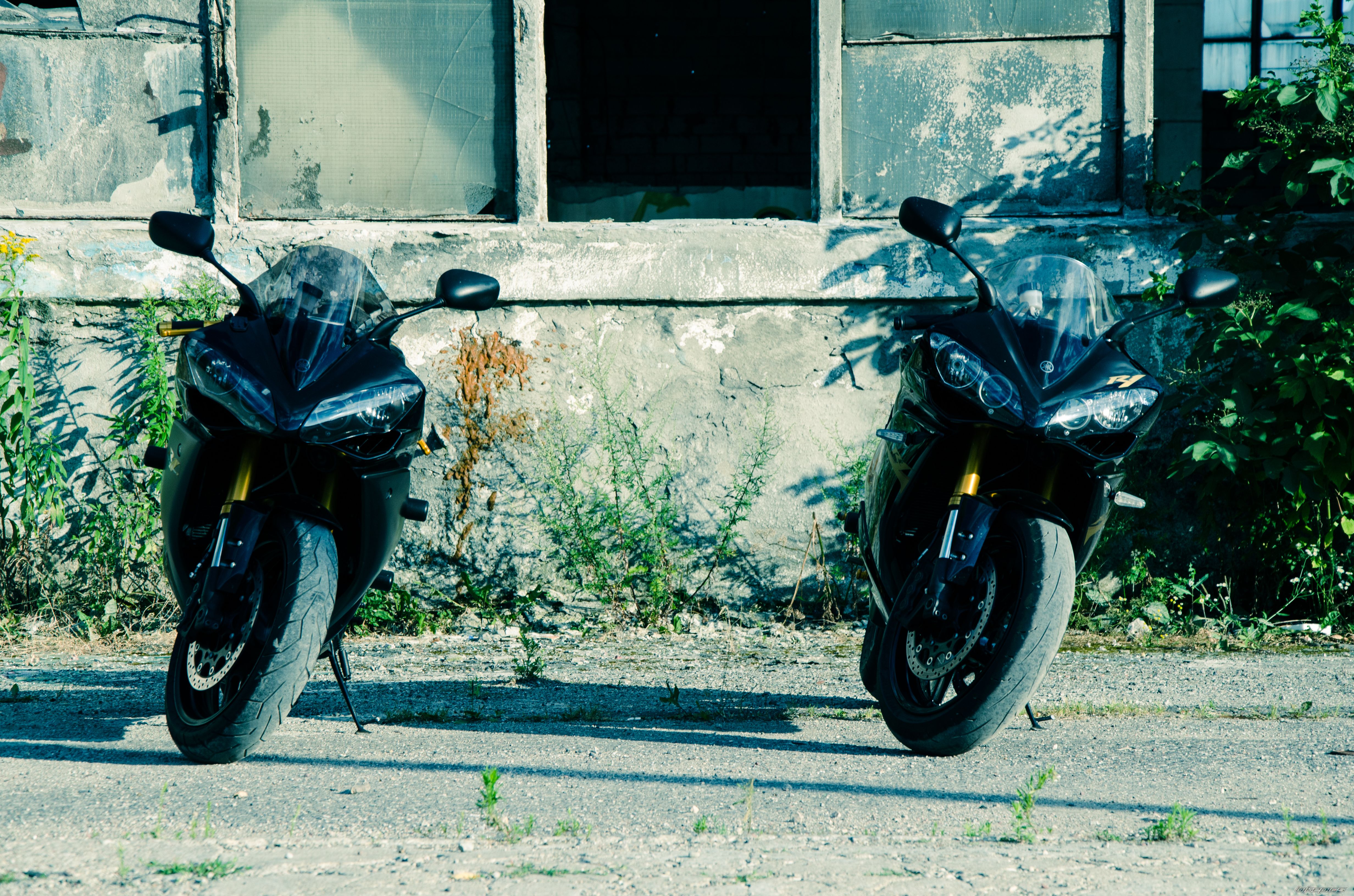 Photo 2623973