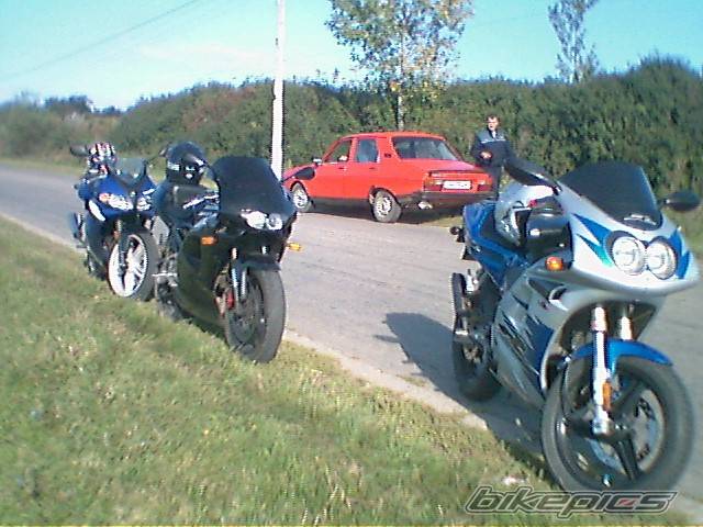 Photo 262404