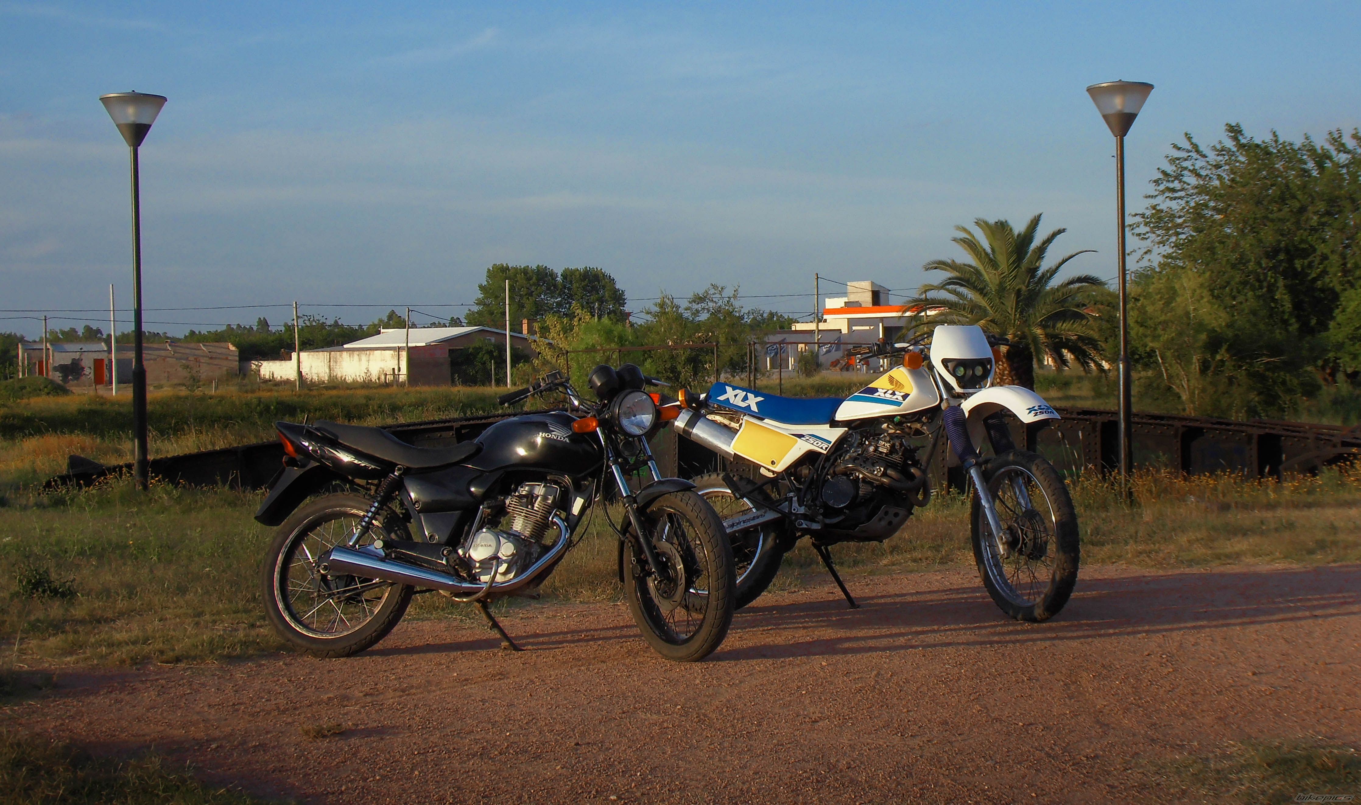 Photo 2624097