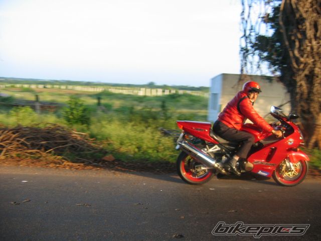 Photo 2624203