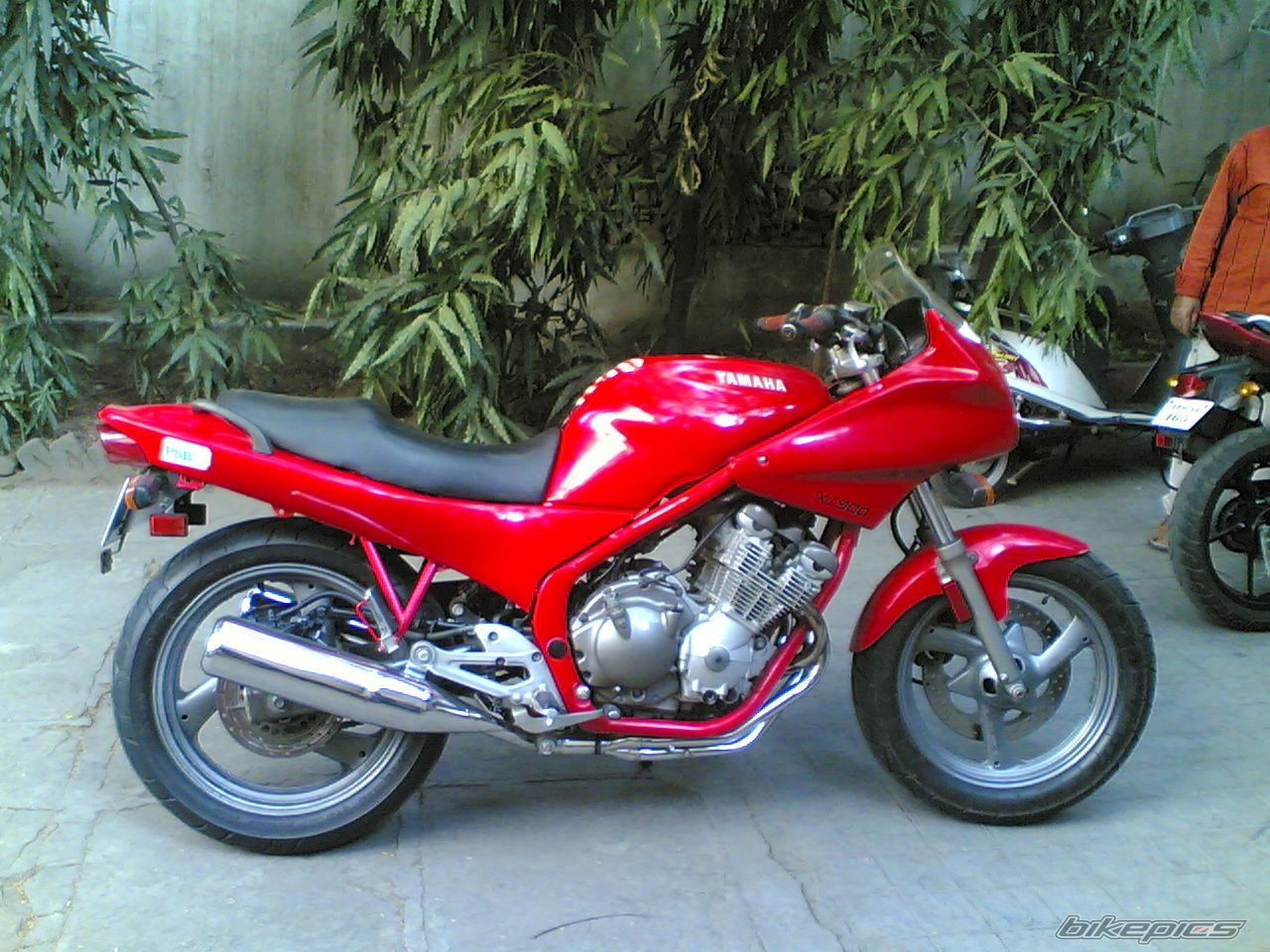 Photo 2624205