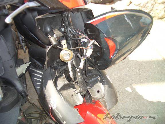 Photo 262430