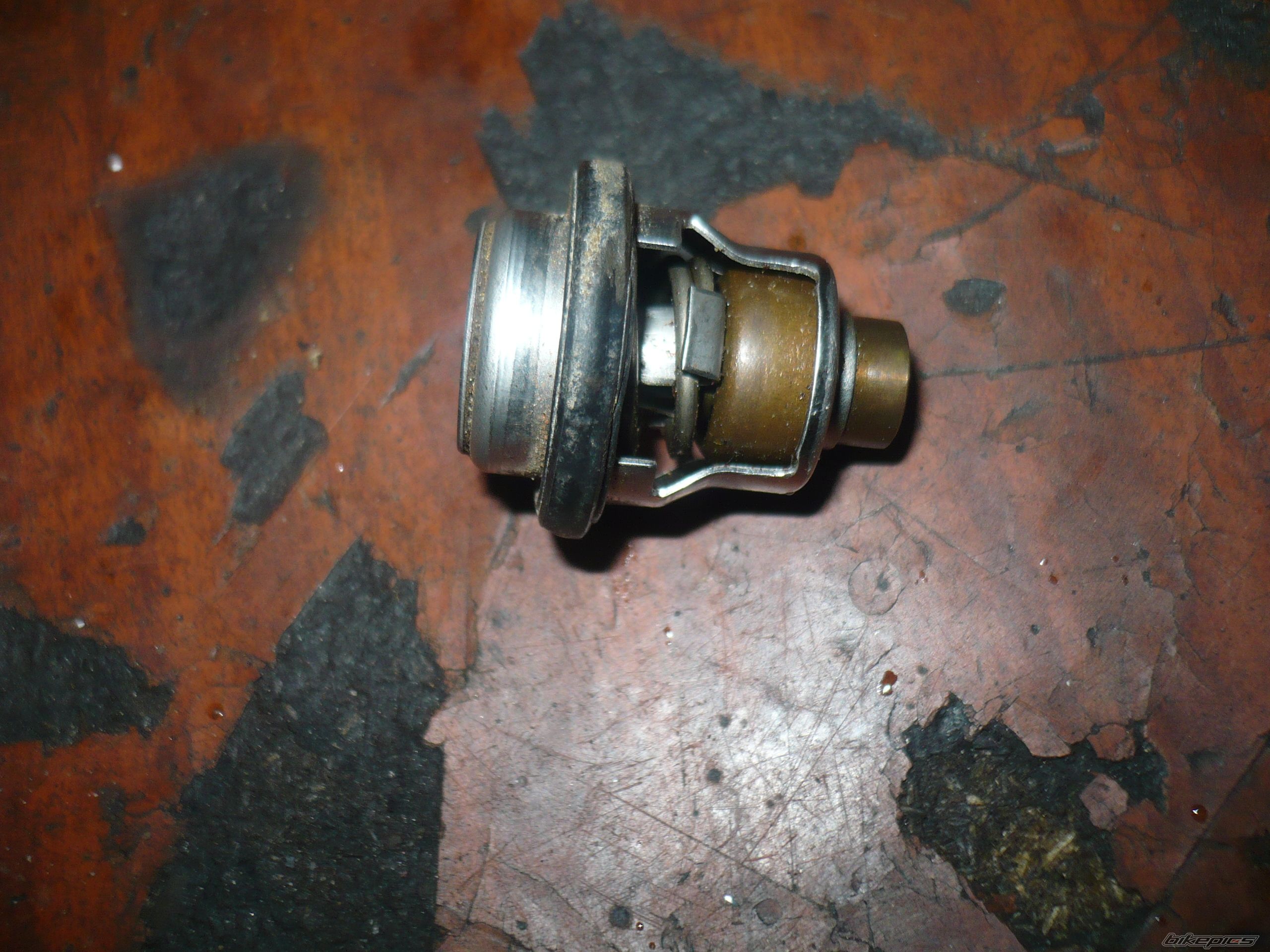 Photo 2624329