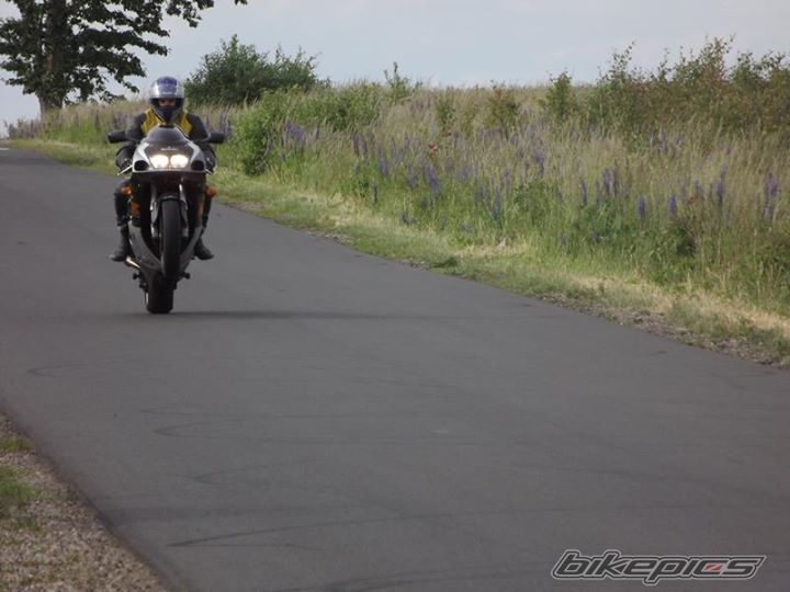 Photo 2624628