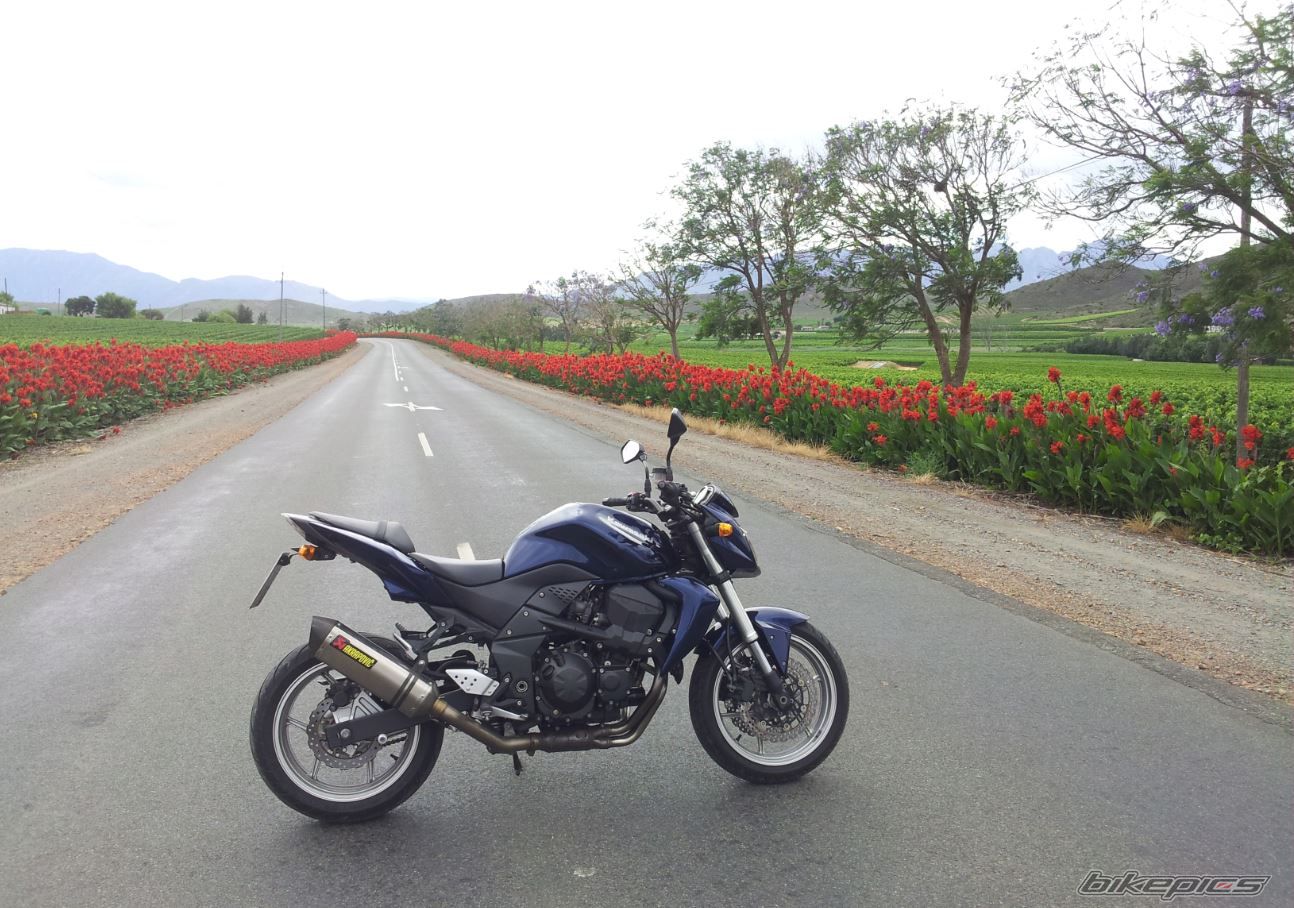 Photo 2624811