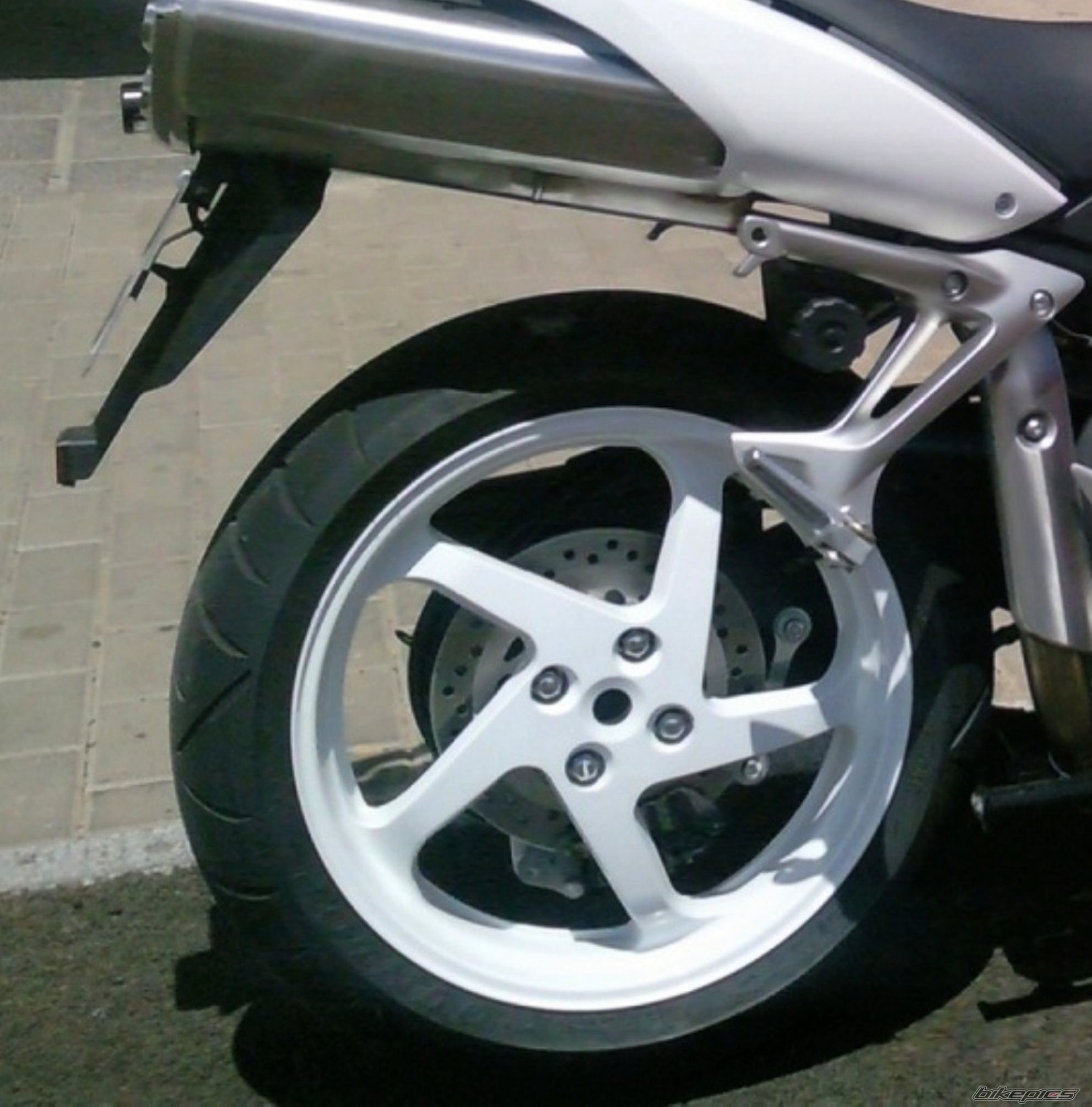 Photo 2624894